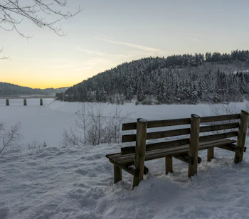 Stille vintermotiv med bænk i dyb sne ved frossen sø omgivet af gran