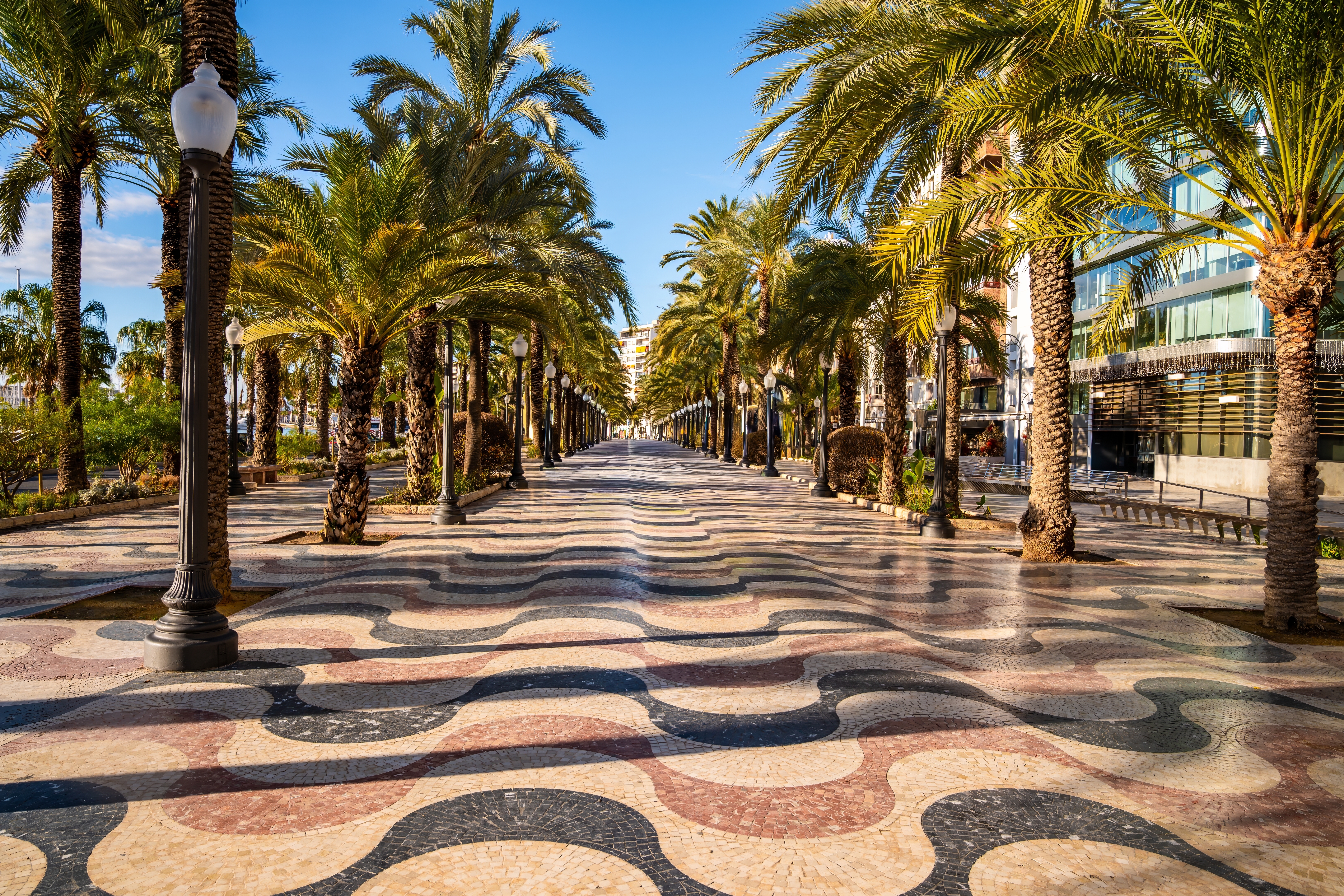 Solbeskinnet promenade i Alicante med imponerende palmer, dekorativt mosaik og stemningsfulde gadelygter i Spanien
