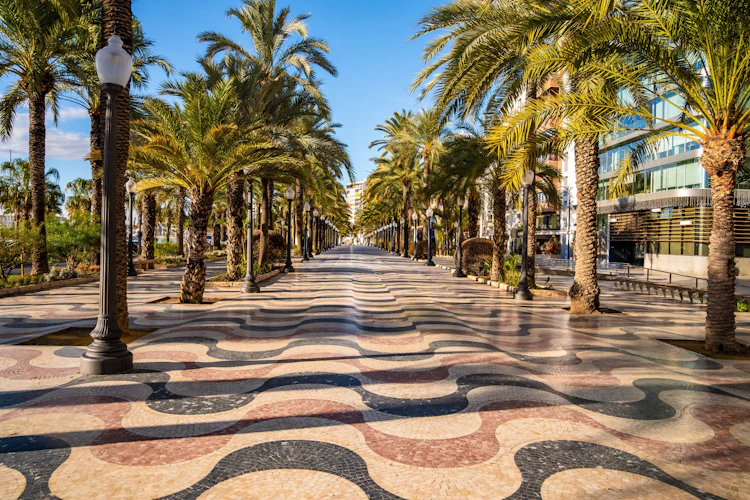Solbeskinnet promenade i Alicante med imponerende palmer, dekorativt mosaik og stemningsfulde gadelygter i Spanien
