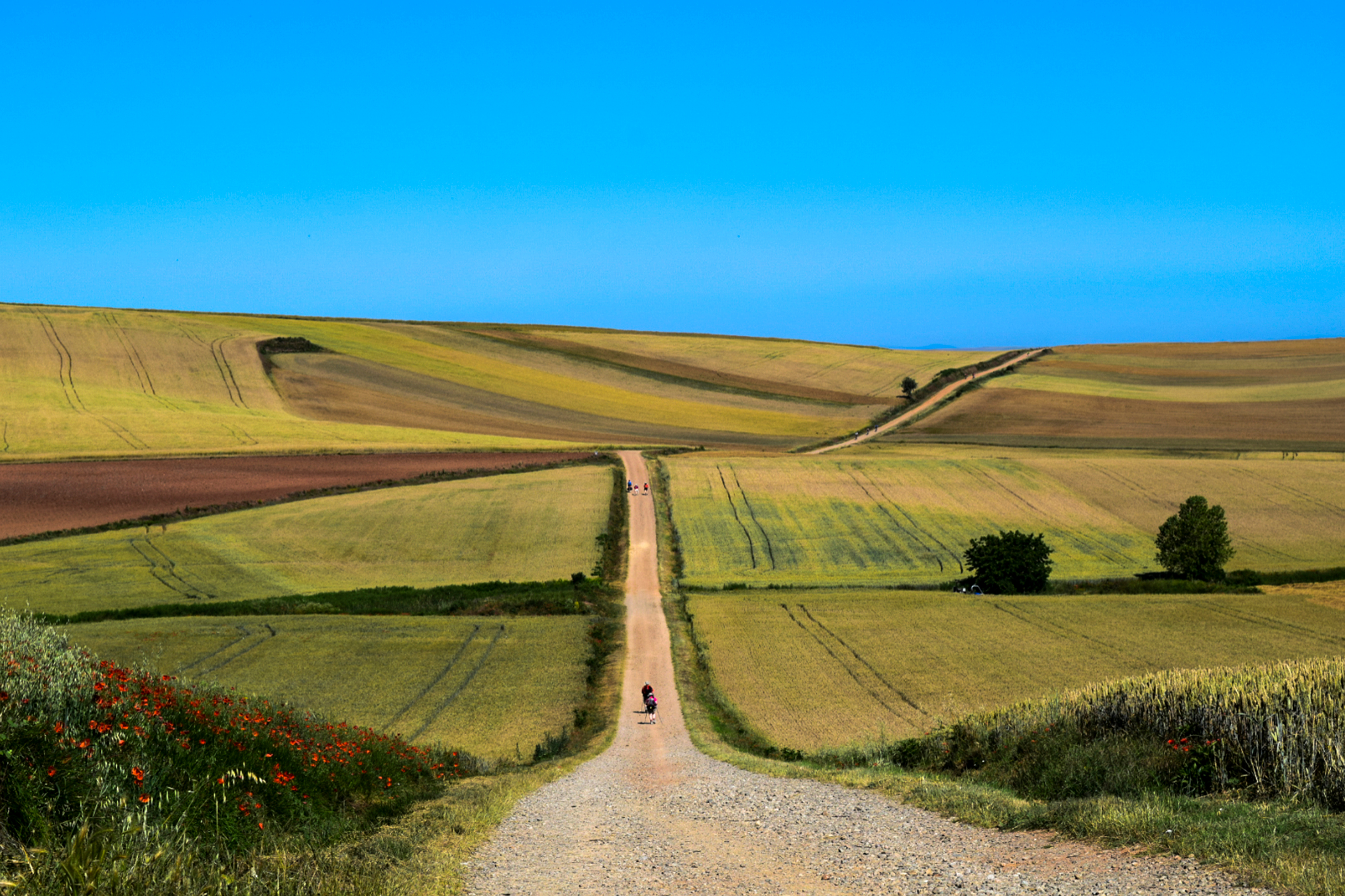 Ensom pilgrimsvej gennem det bølgende spanske landskab på Camino de Santiago