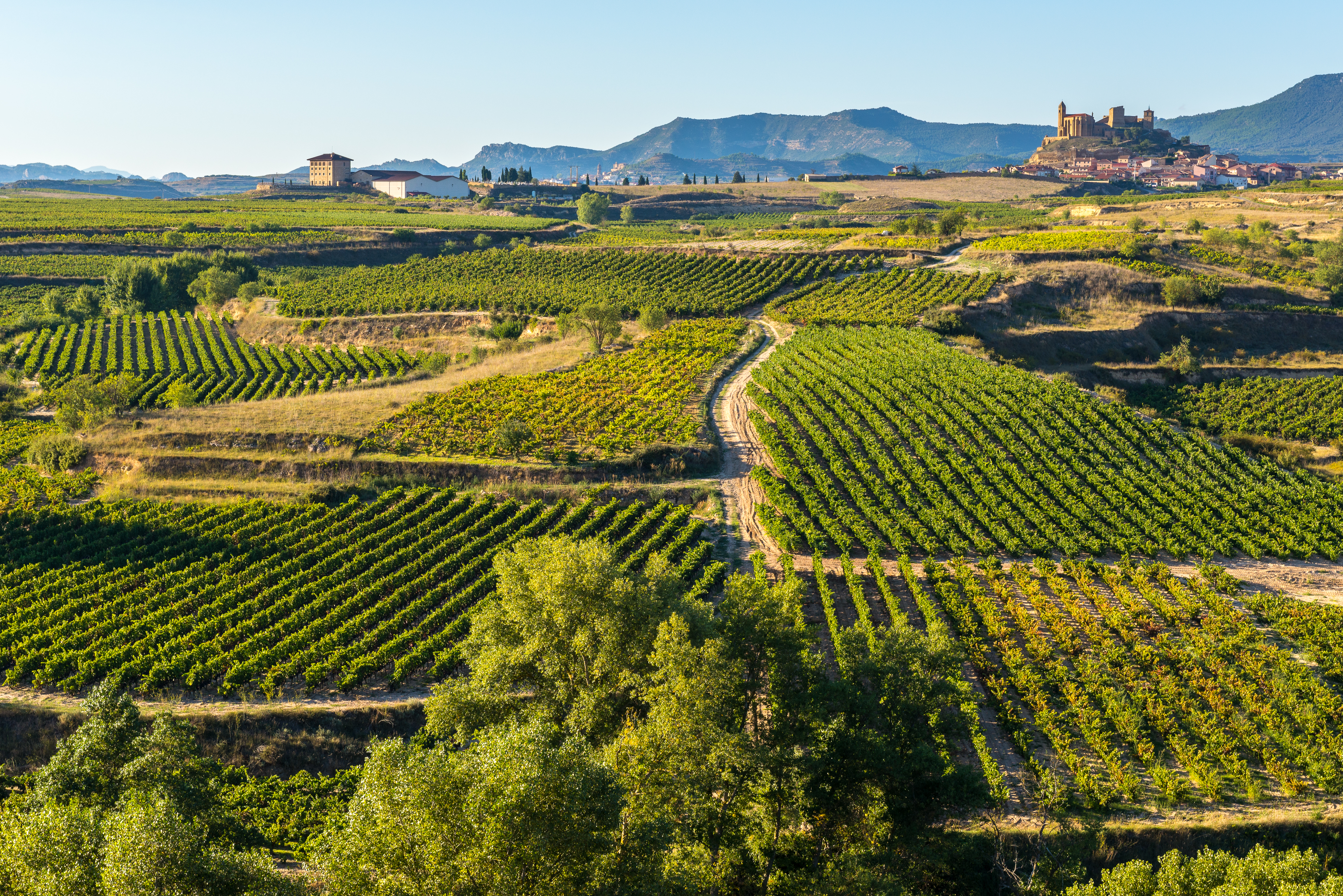 Spanske vinbjerge i La Rioja med historisk by på bjergtop