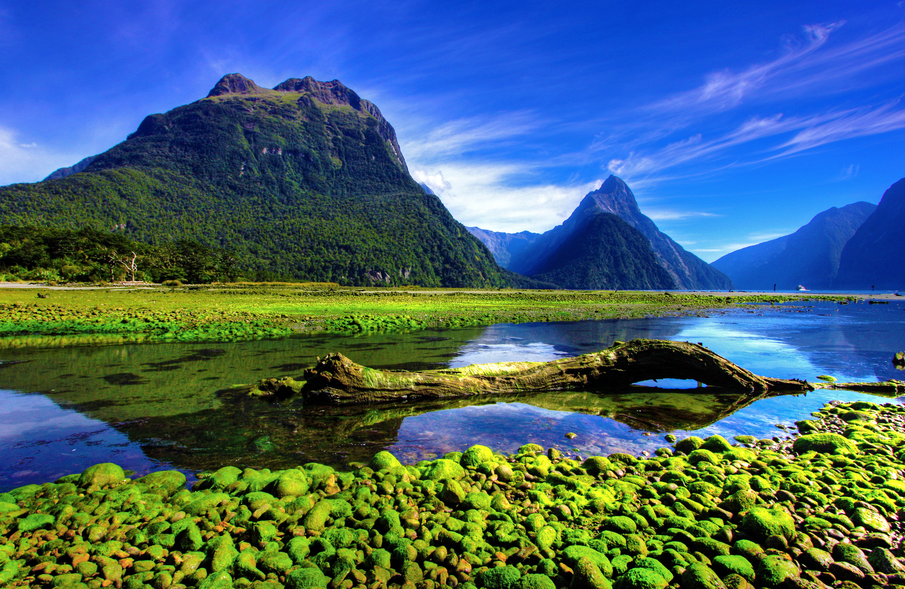 Spektakulære spejlsøer med bjergspejlinger langs vejen til Milford Sound nationalpark i New Zealand