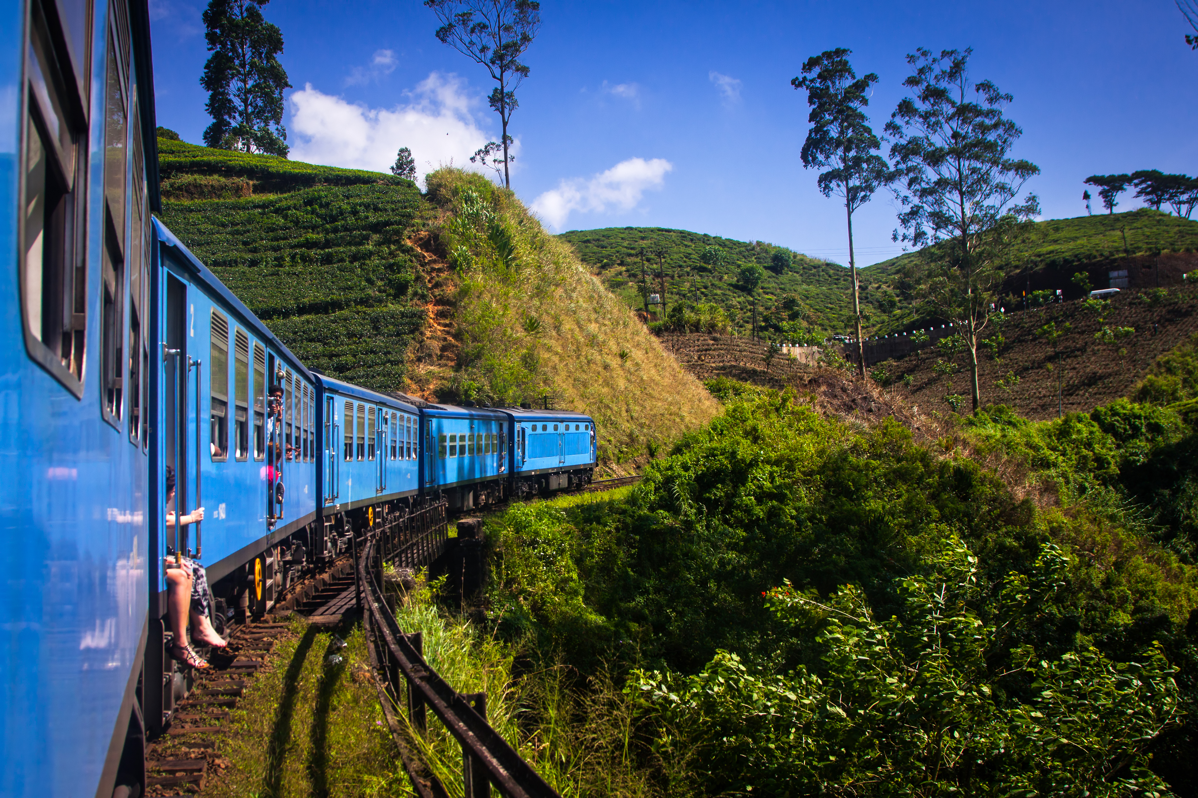 Charmerende blåt tog på rejse gennem de bakkede grønne teplantager i højlandet mellem Nuwara Eliya og Kandy i Sri Lanka
