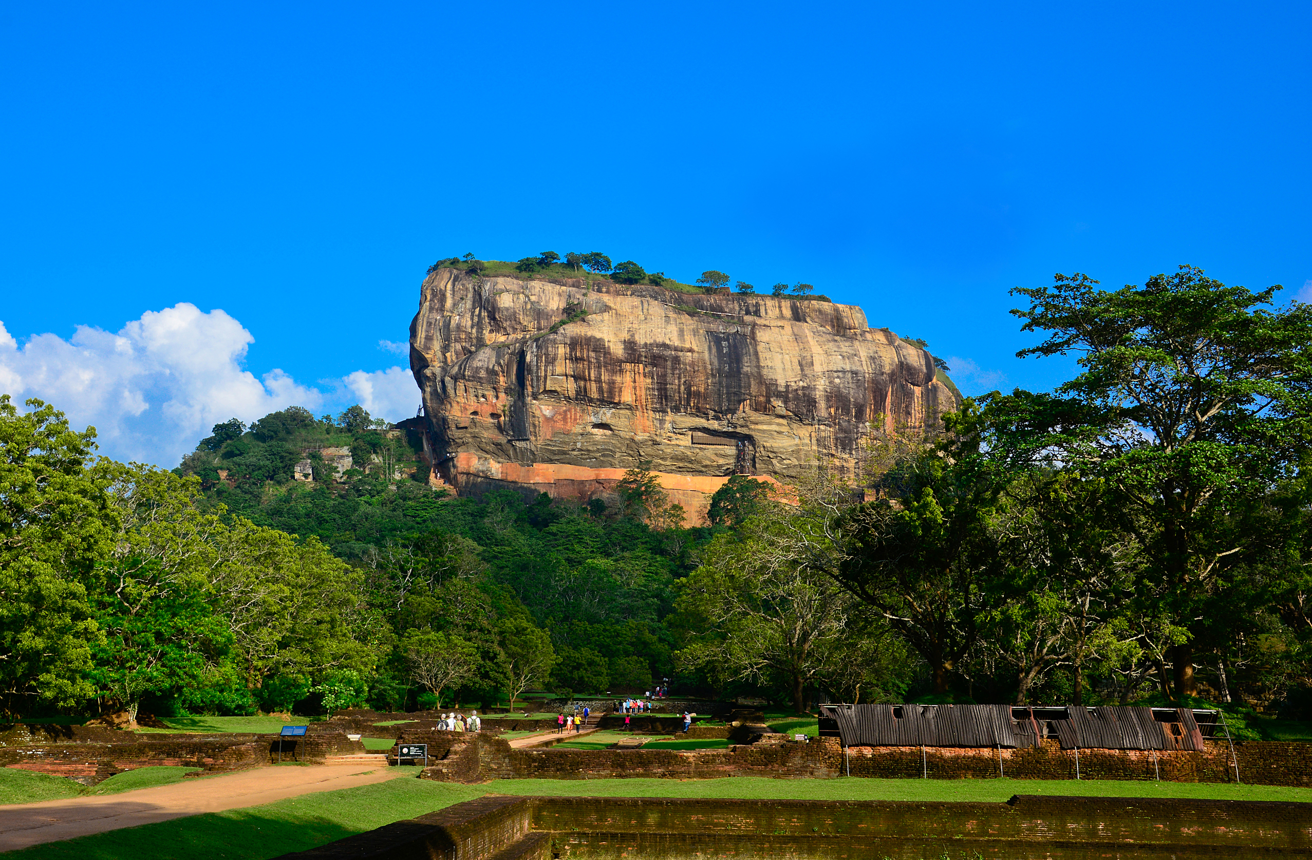 Majestætisk Sigiriya klippefæstning omringet af grøn jungle i Sri Lanka