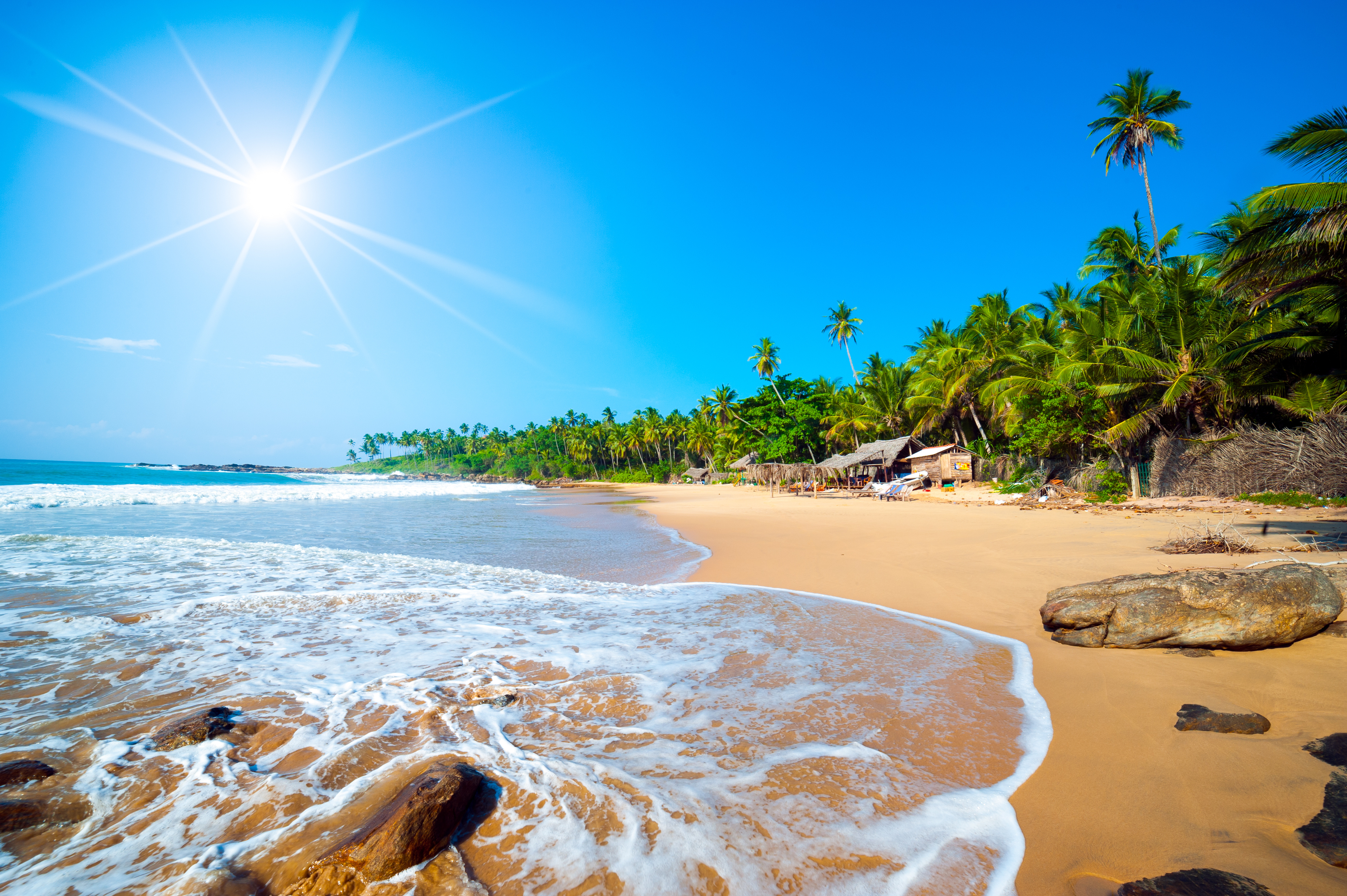 Solrig og fredfyldt tropisk strand i Sri Lanka med bølgeskyllende kyst, palmetræer og klart blåt hav på en varm sommerdag
