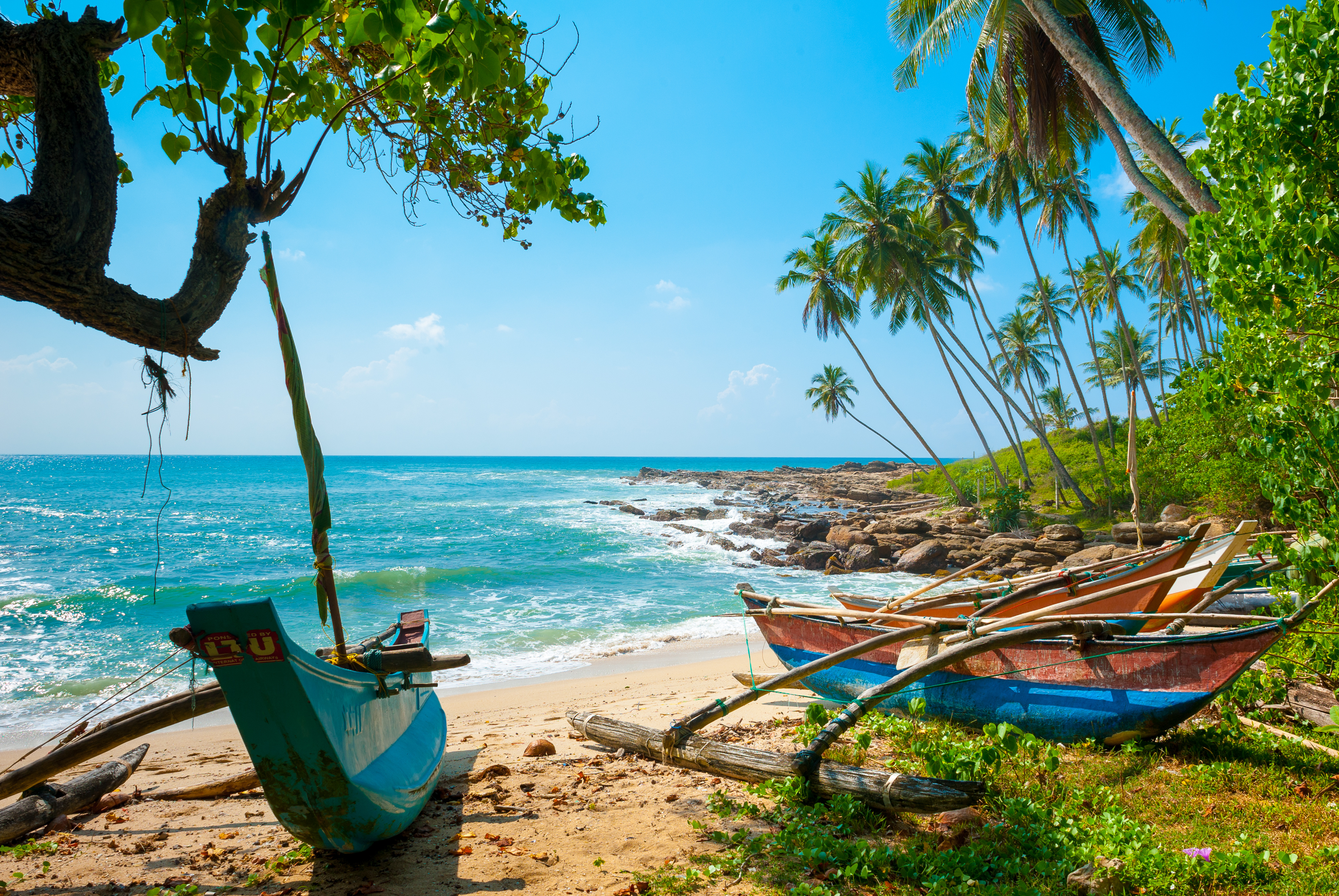 Idyllisk tropisk strand i Sri Lanka med rustikke fiskerbåde i sandet, vilde palmeskove og bølgende turkist hav under blå himmel