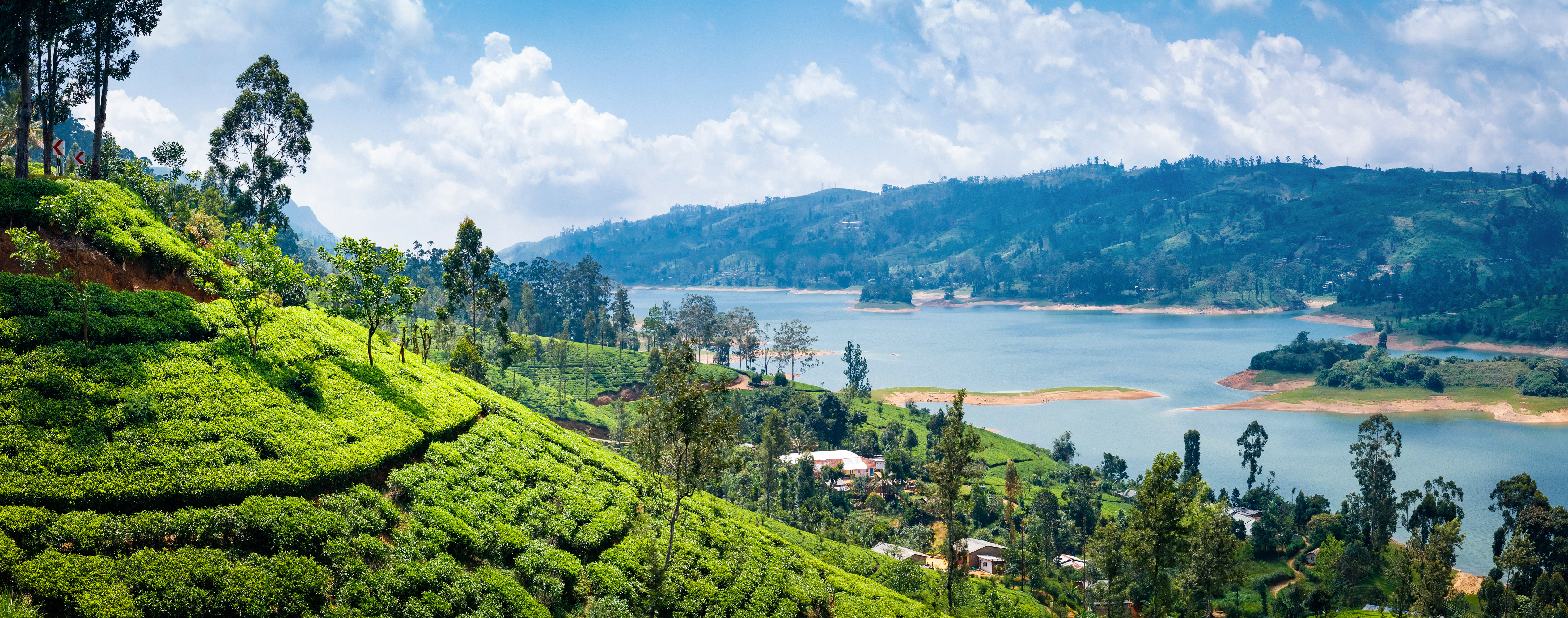 Smuk udsigt over teplantager og den blå sø omgivet af tropiske træer og bjerge ved Nuwara Eliya i Sri Lanka