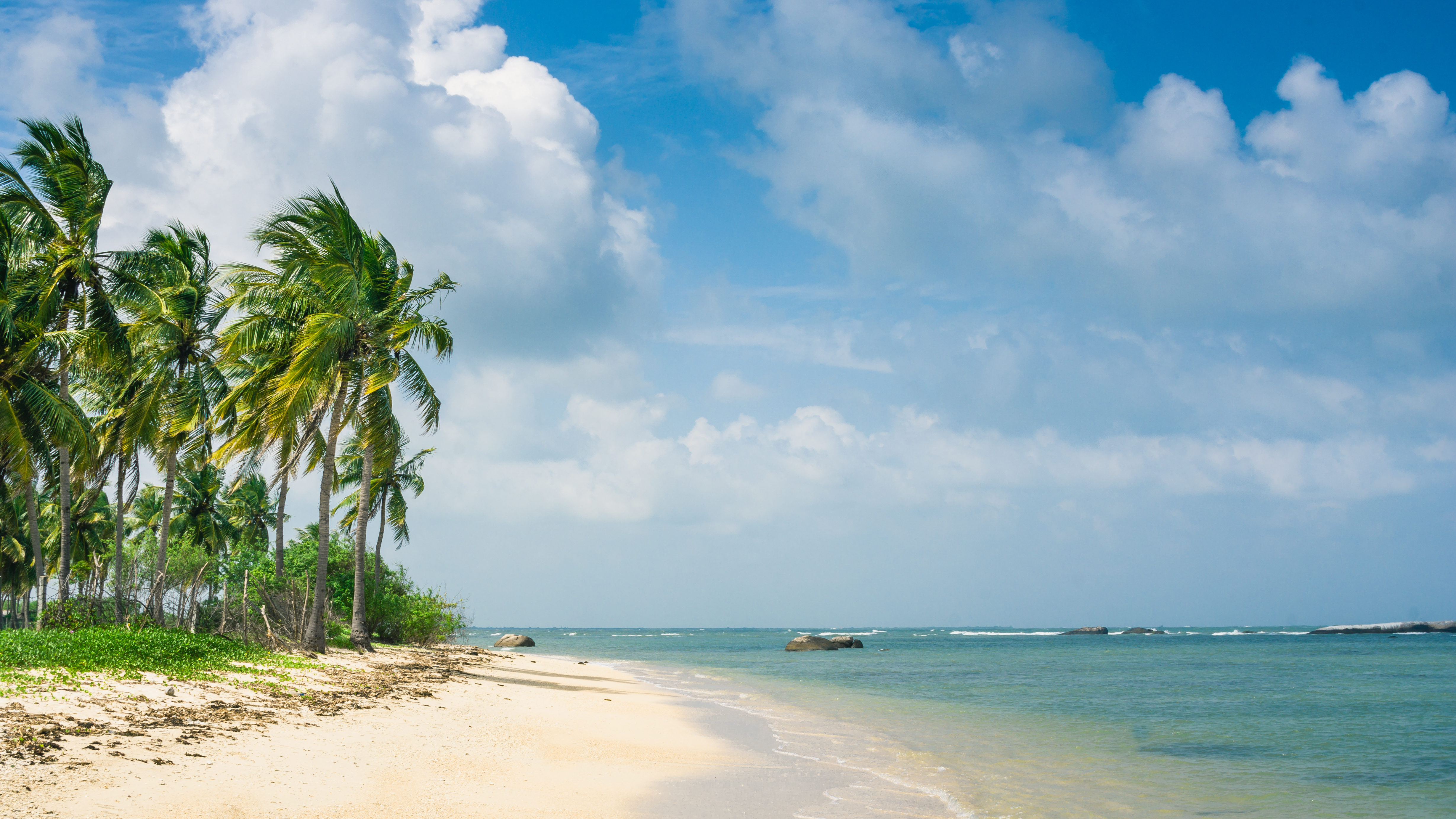 Pragtfuld tropisk strand destination med palmetræer og azurblaat hav Sri Lanka