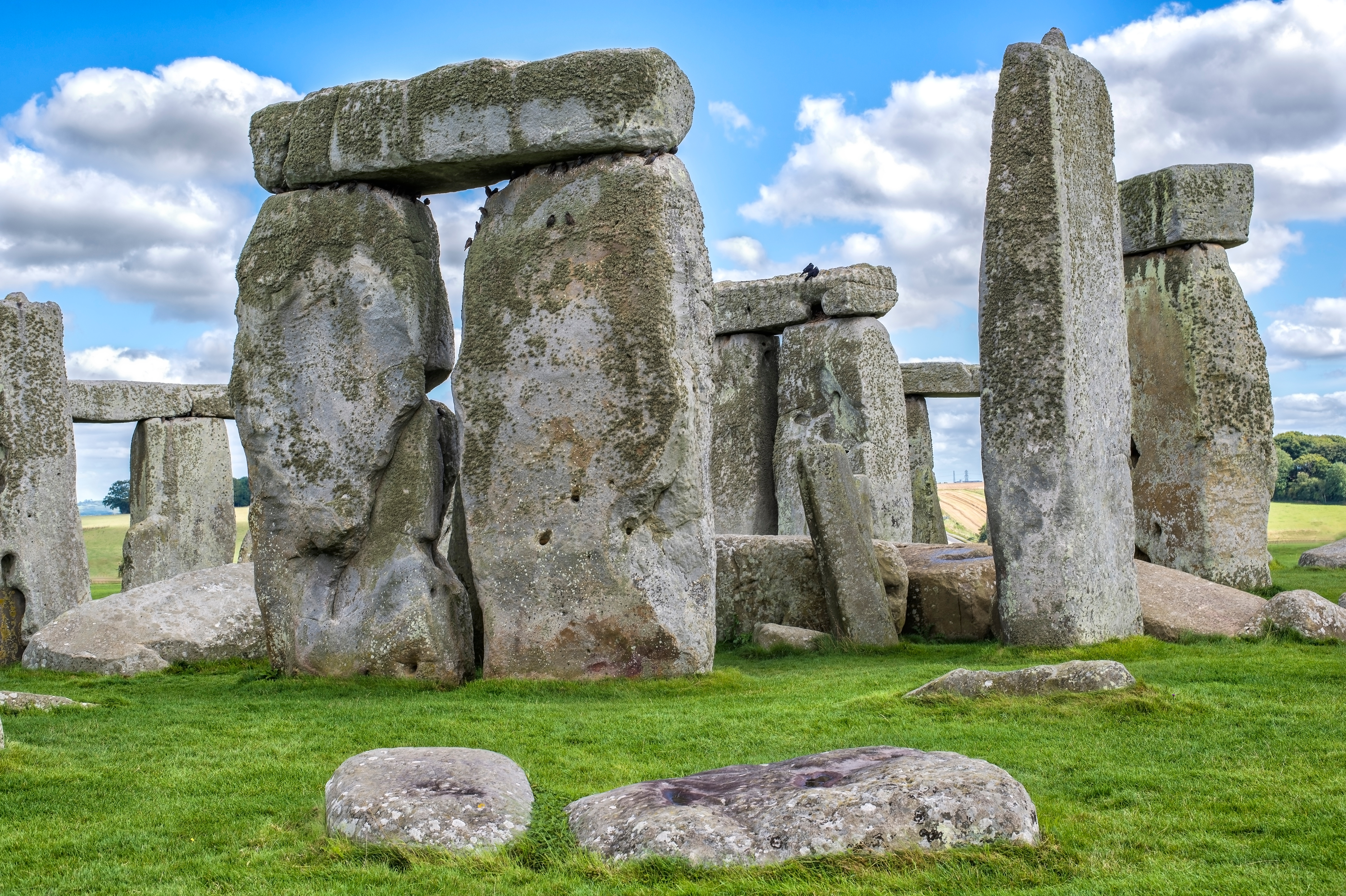 Stonehenge ved Salisbury i England med store grå megalitsten og grønt græs under en blå himmel med hvide skyer om sommeren