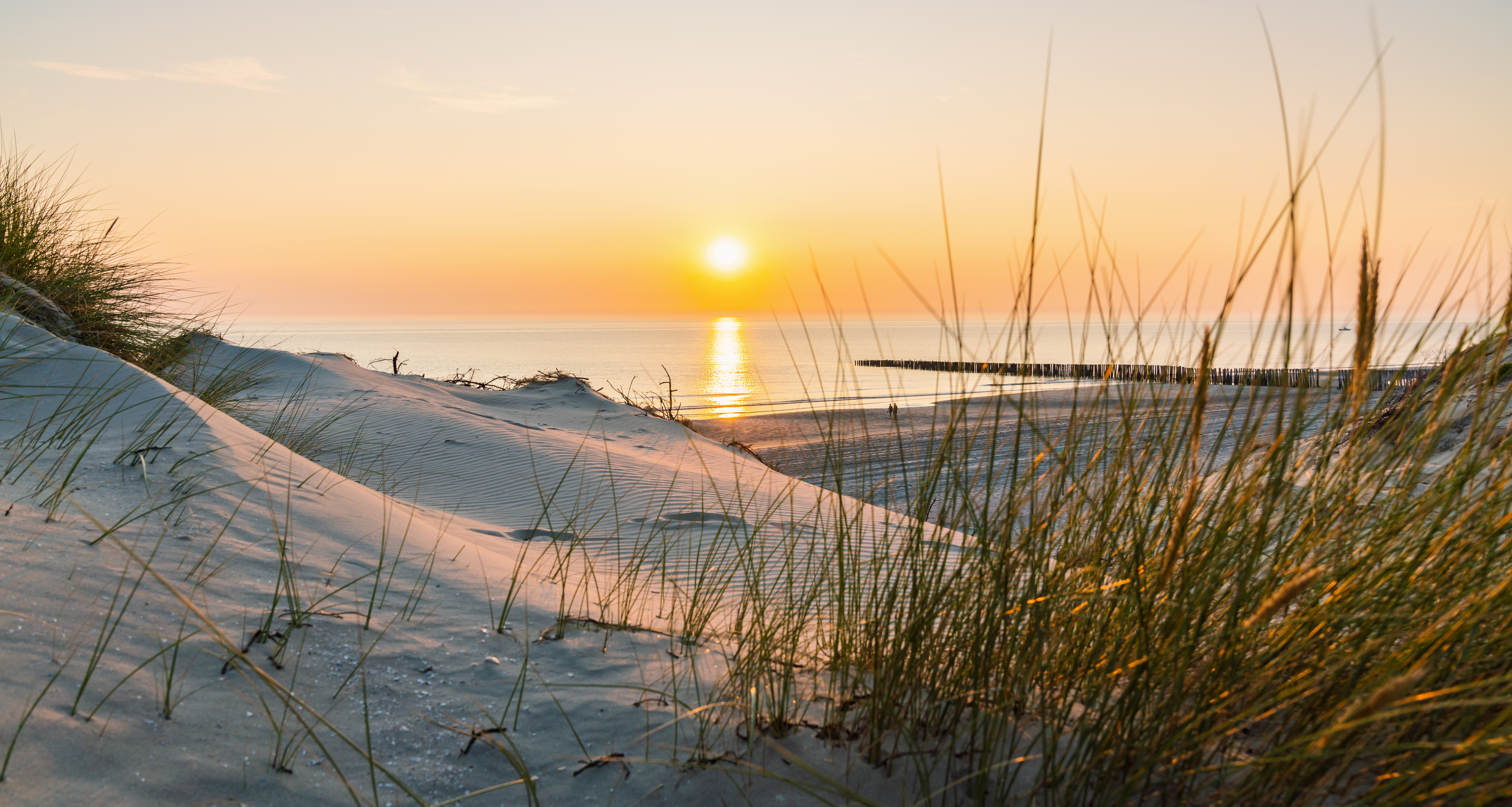 Romantisk solnedgang gennem klitterne ved dansk vestkyst med træmole og strandhavere