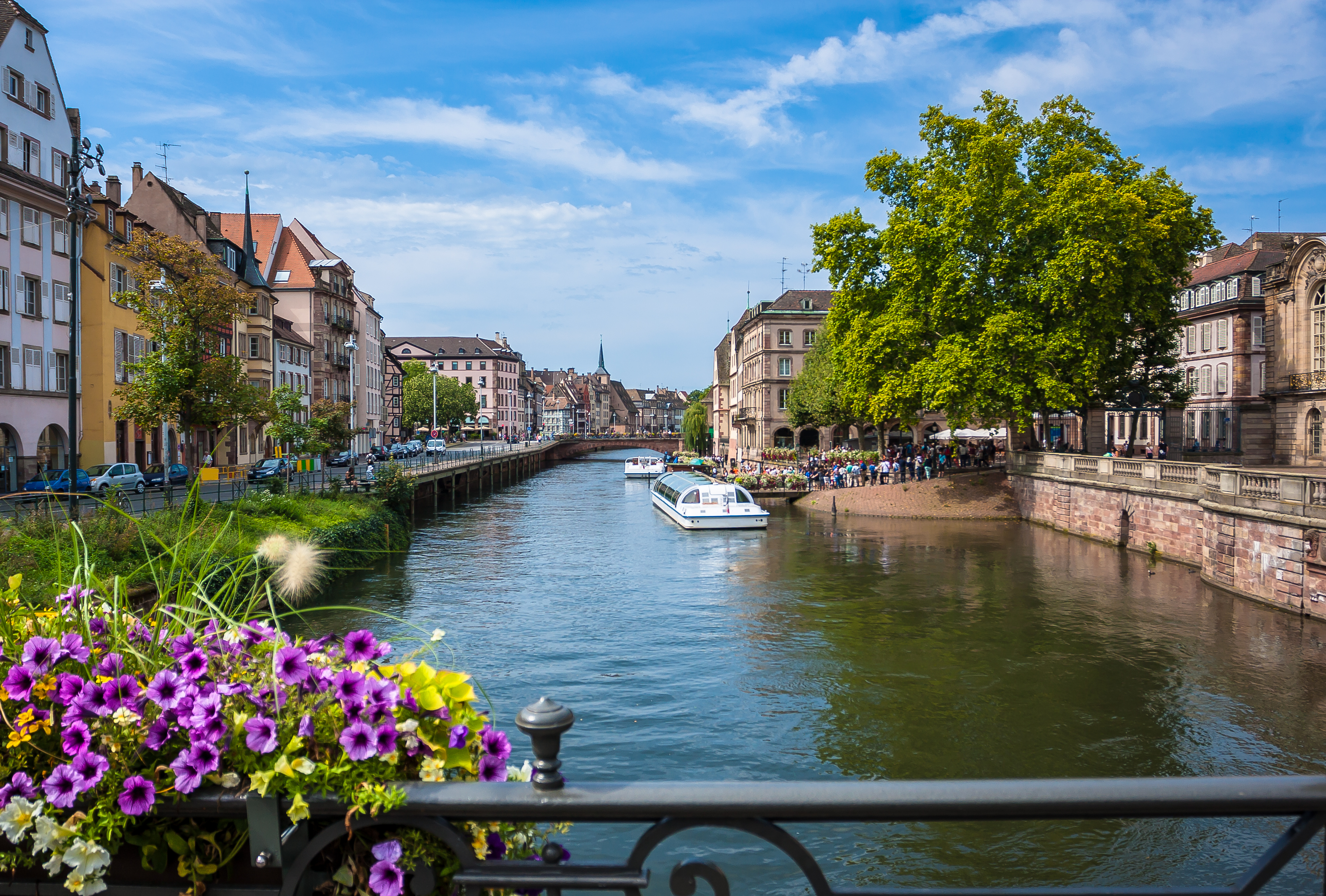 Idyllisk kanal i Strasbourg med europæisk arkitektur og lilla blomster
