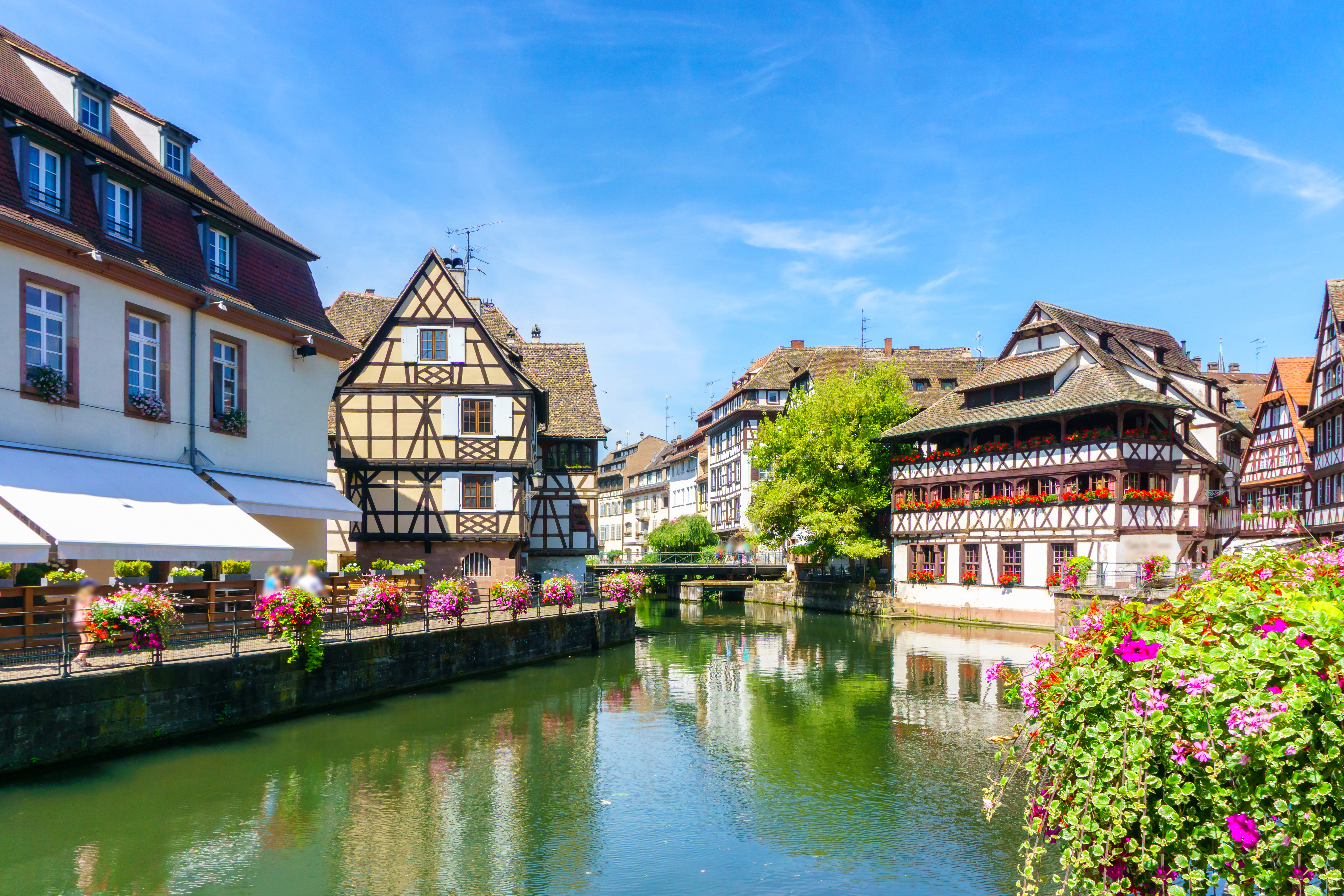 Historiske farverige huse med blomster langs kanal i Strasbourg