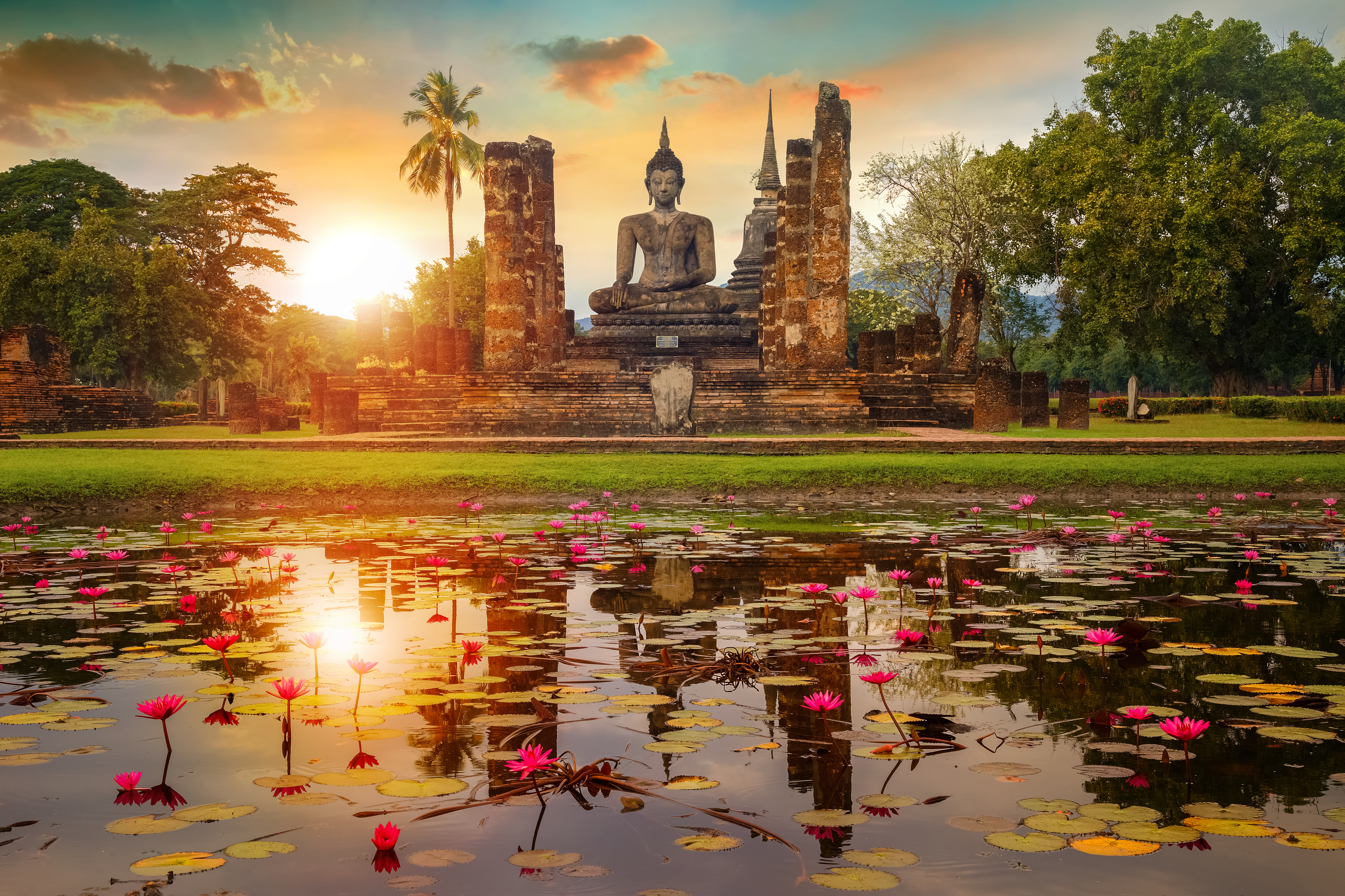 Sukhothai Historiske Park med antik Buddha statue og pink lotus blomster