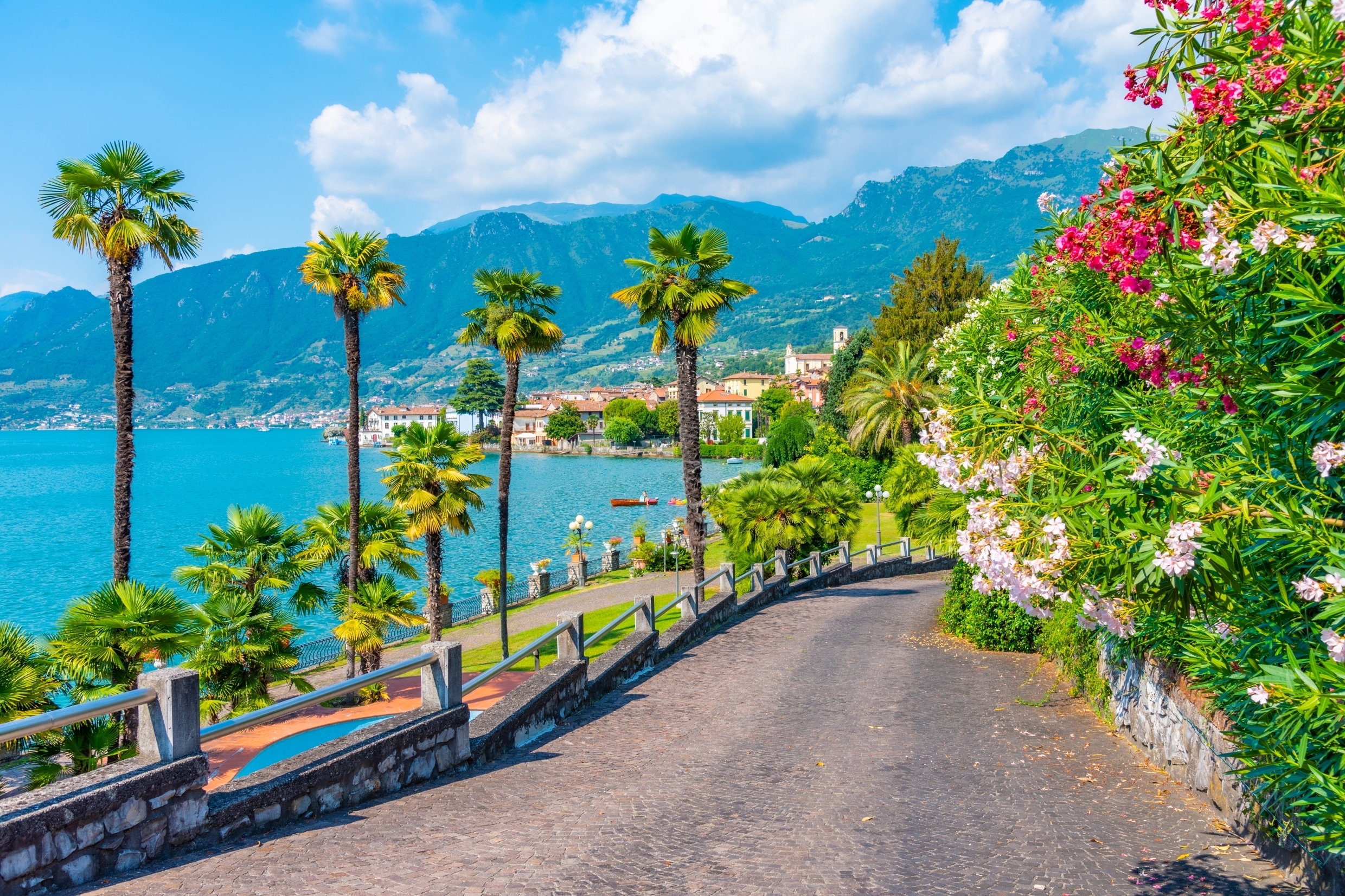 Romantisk gangsti langs Lago d'Iseo nær Sulzano i Italien med palmer, blomstrende buske og udsigt over bjergene i Lombardiet