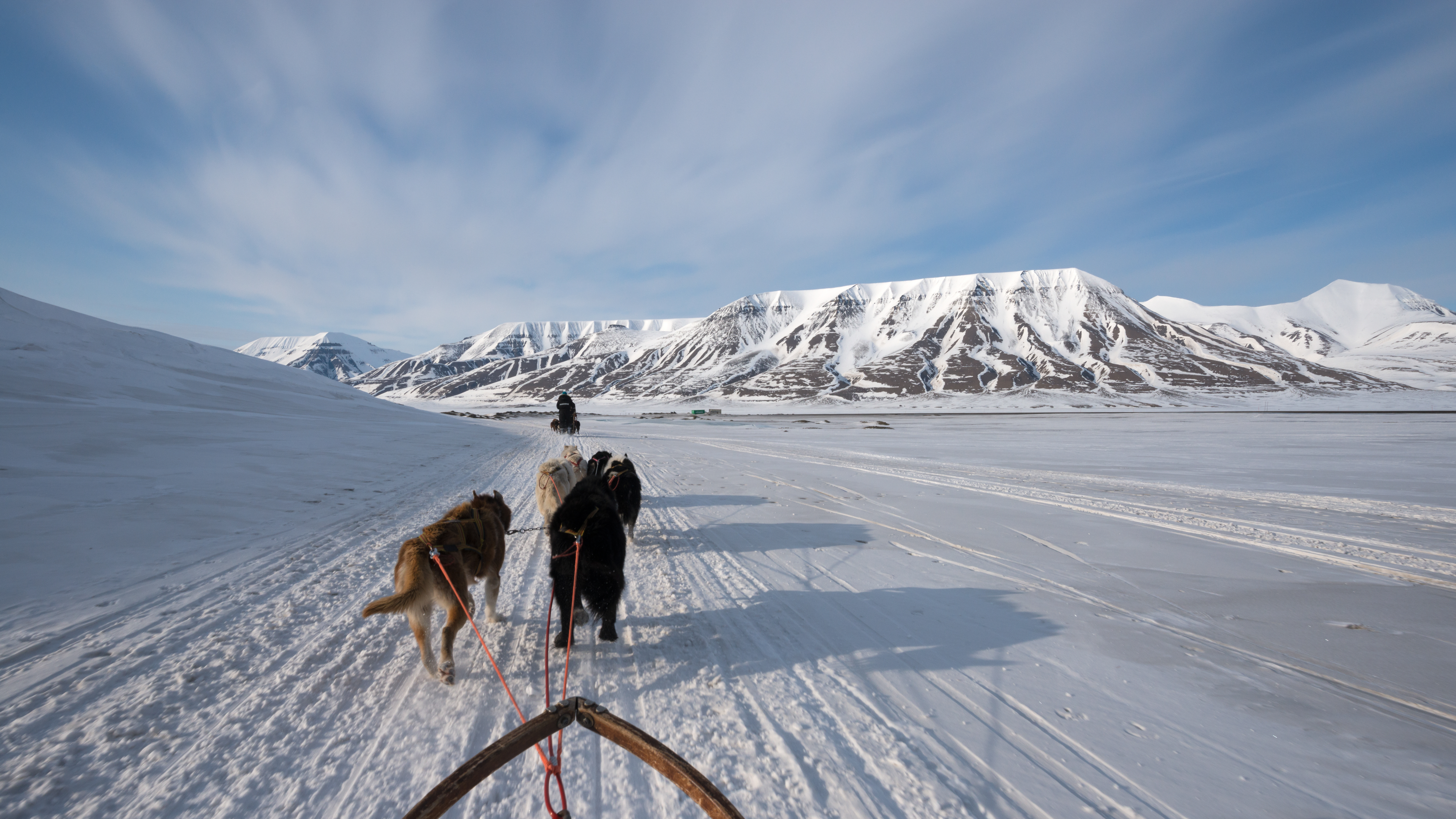 Svalbard hundekørsel gennem det arktiske vinterland med husky-team og bjerge
