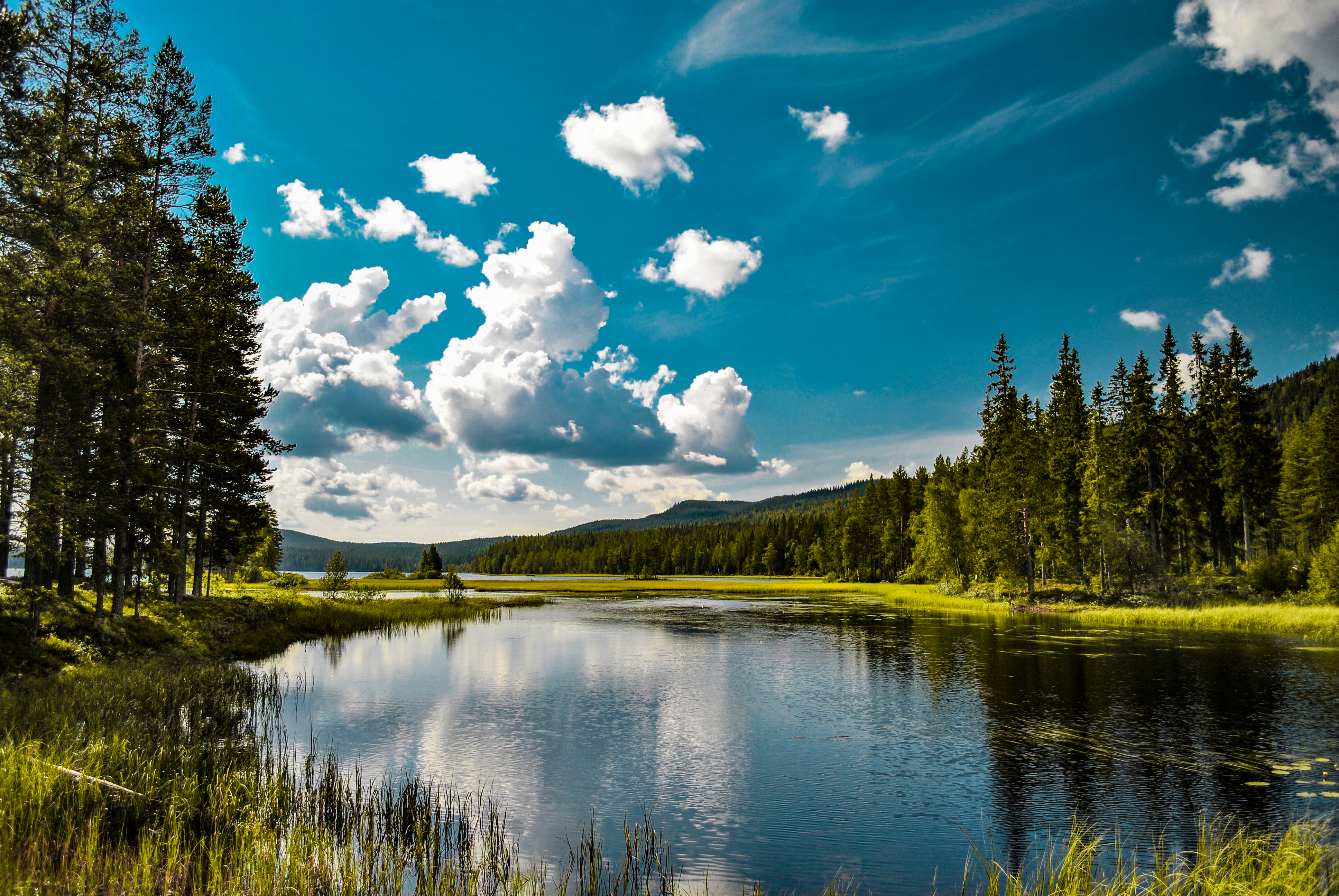 Rolig og naturskøn sø ved Mora i Sverige omgivet af fyrretræer og grønne enge under en blå skandinavisk sommerhimmel
