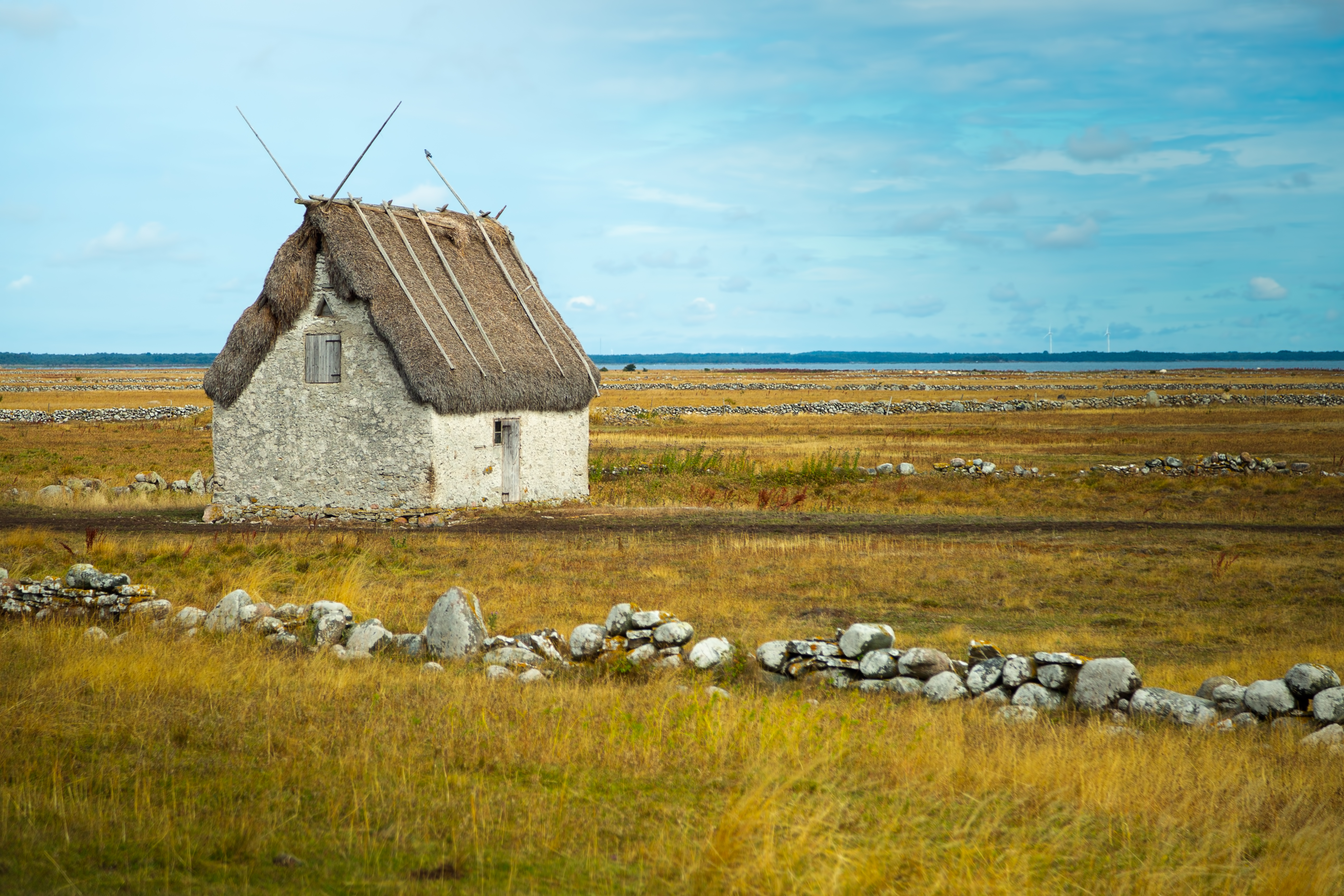 Traditionel svensk cottage med stråtag på den pittoreske ø Gotland