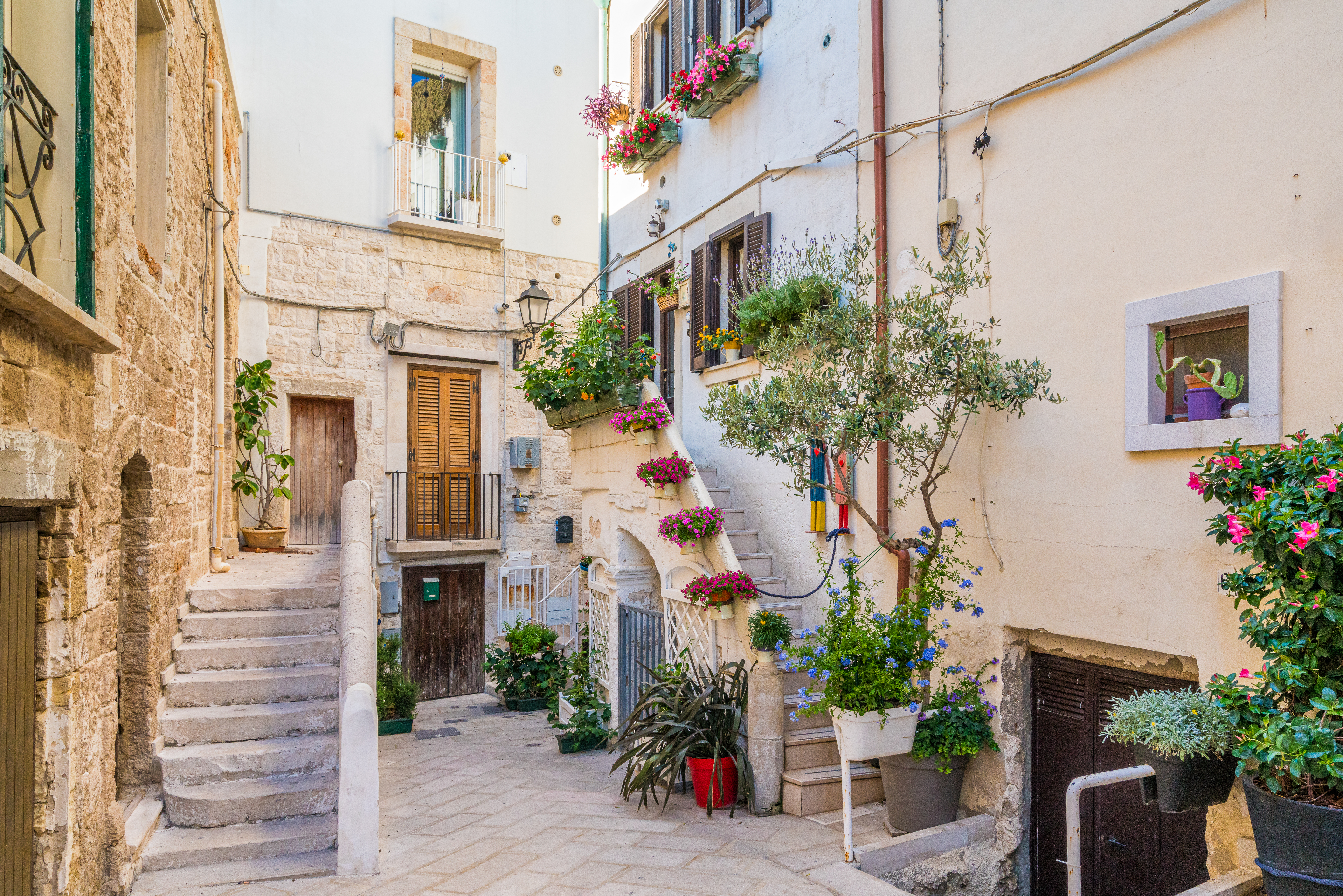 Smukke hvide stenhuse med blomster i den historiske landsby Polignano a Mare i Syditalien