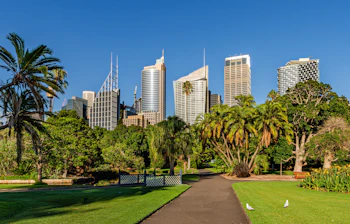 Sydney finanskvarter set fra Royal Botanic Gardens med palmer og grønne områder