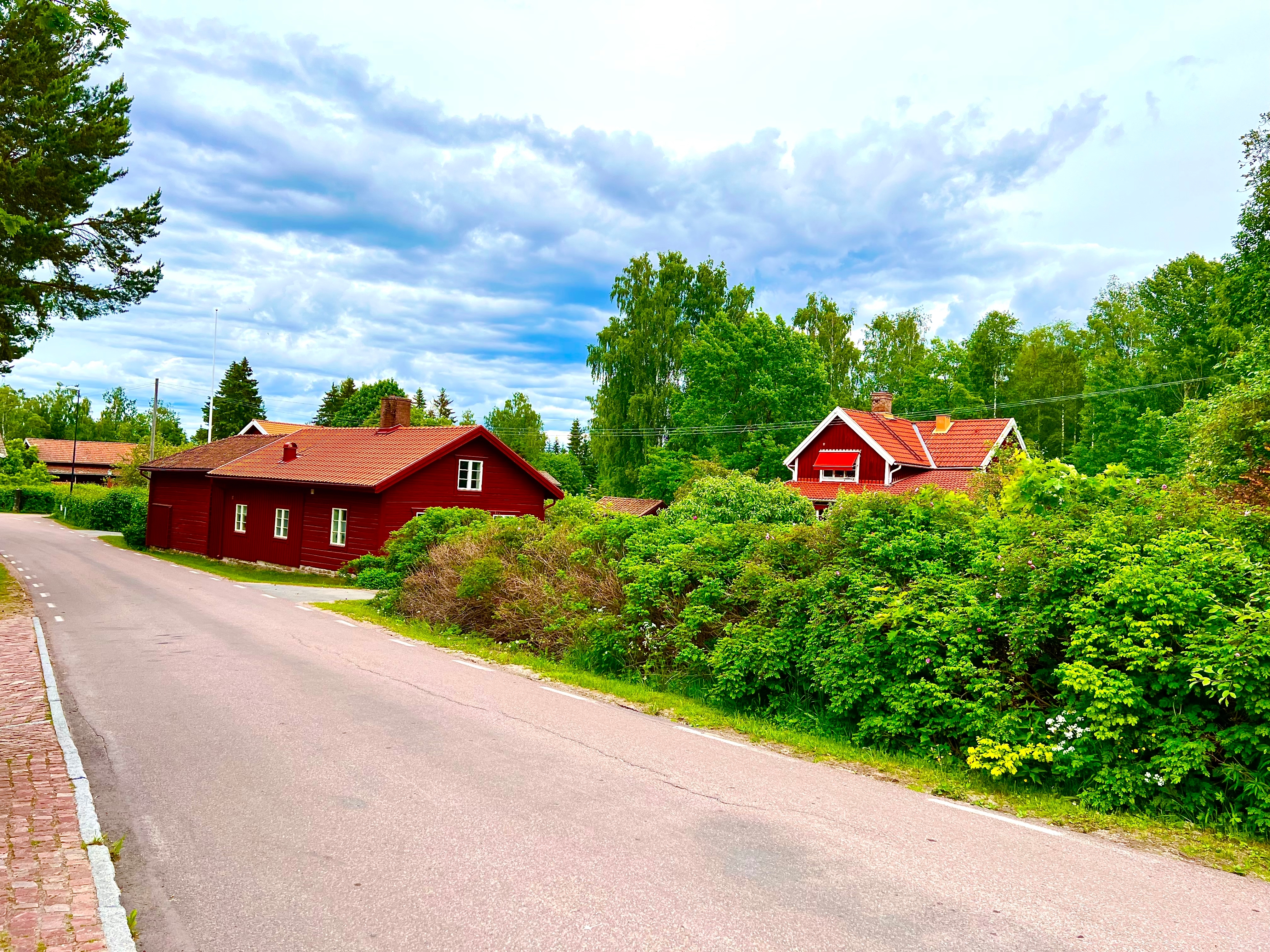 Hyggelig landsbyvej i Tällberg ved Siljan-søen i Dalarna med traditionelle røde svenske huse omgivet af grøn sommernatur