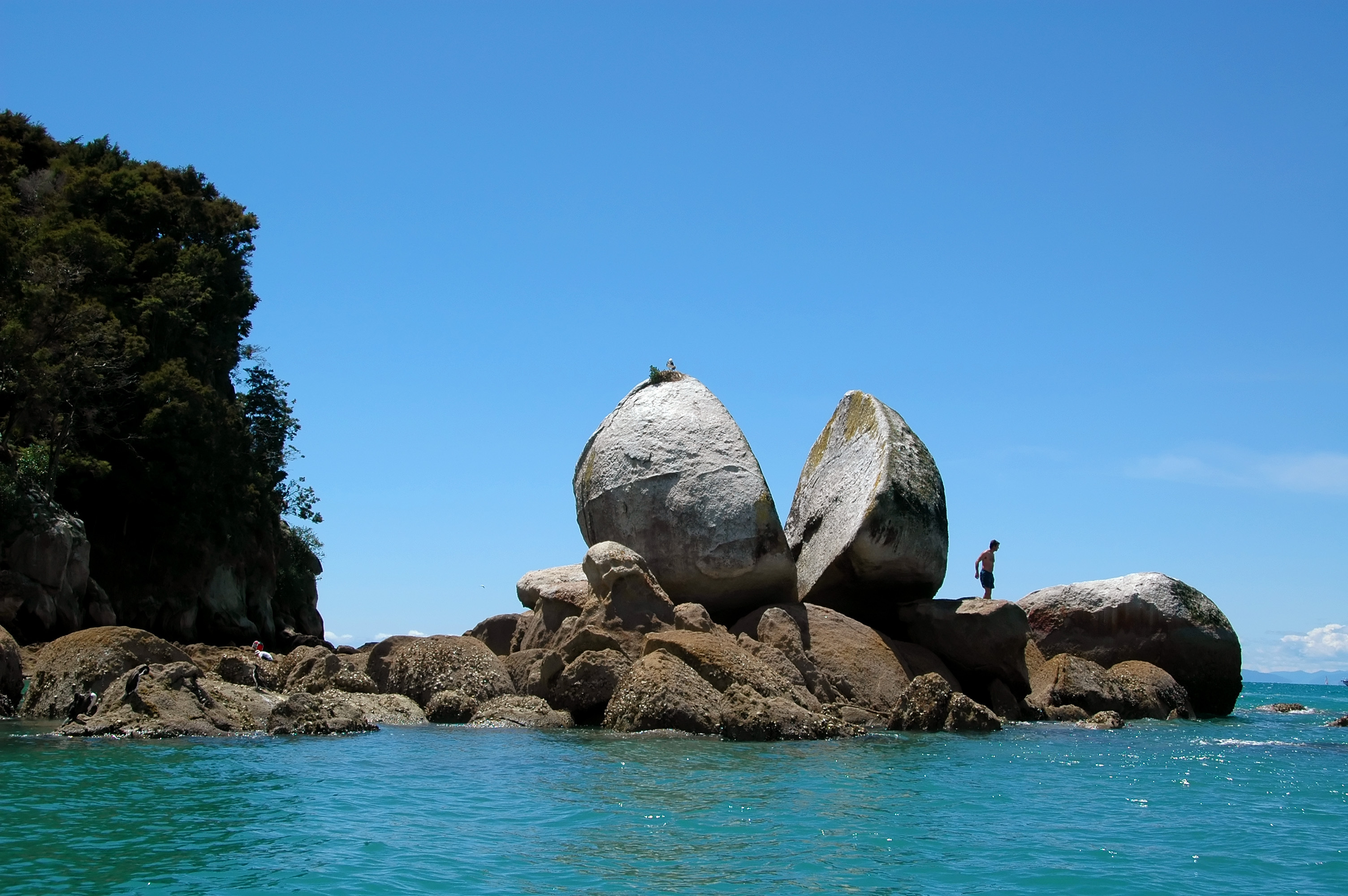 Tasman Bay Split Apple Rock formation New Zealand med krystalklart vand og dramatisk klippelandskab