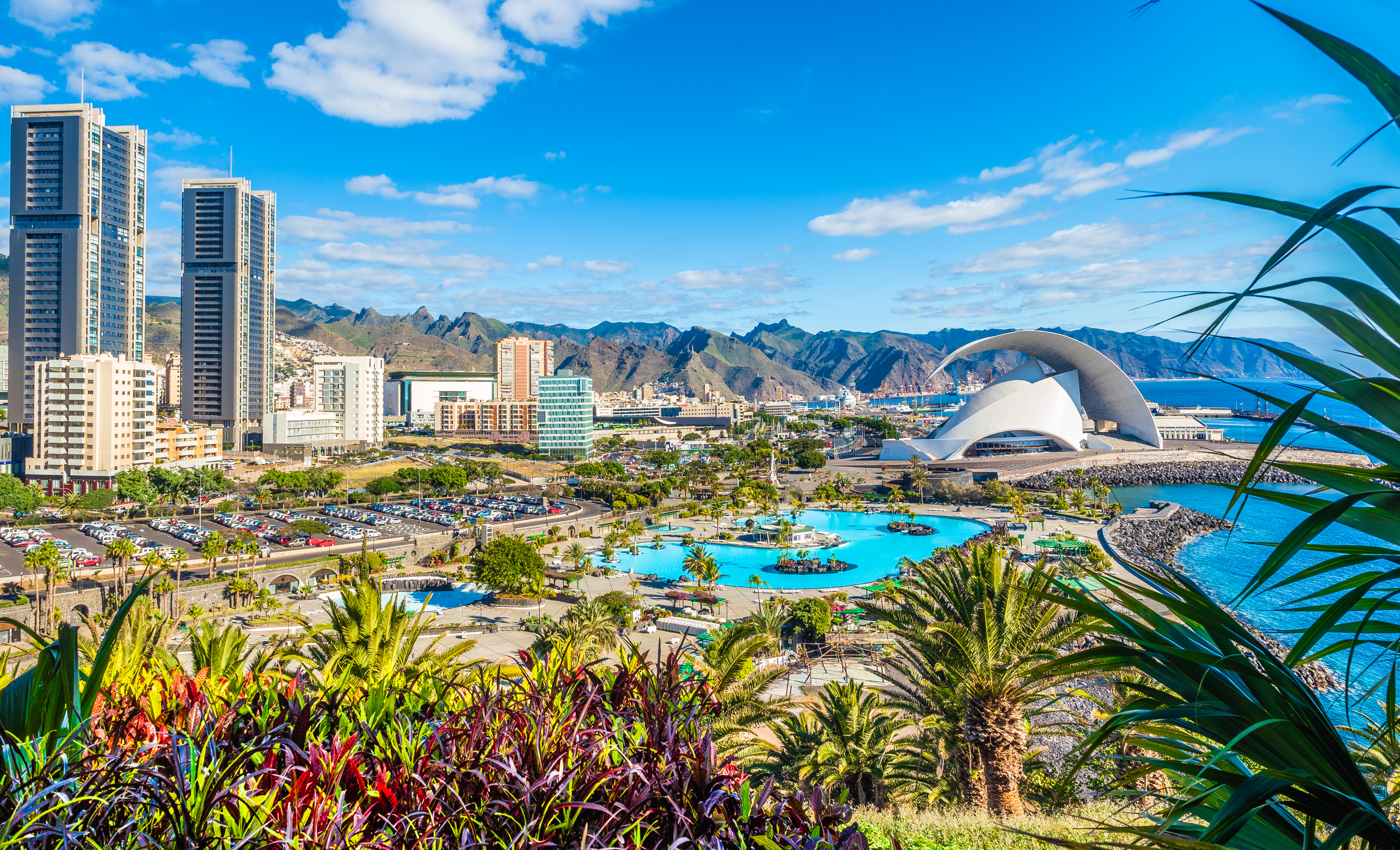 Santa Cruz de Tenerife hovedstad med høje bygninger, Auditorio koncertsal og palmer ved Atlanterhavet