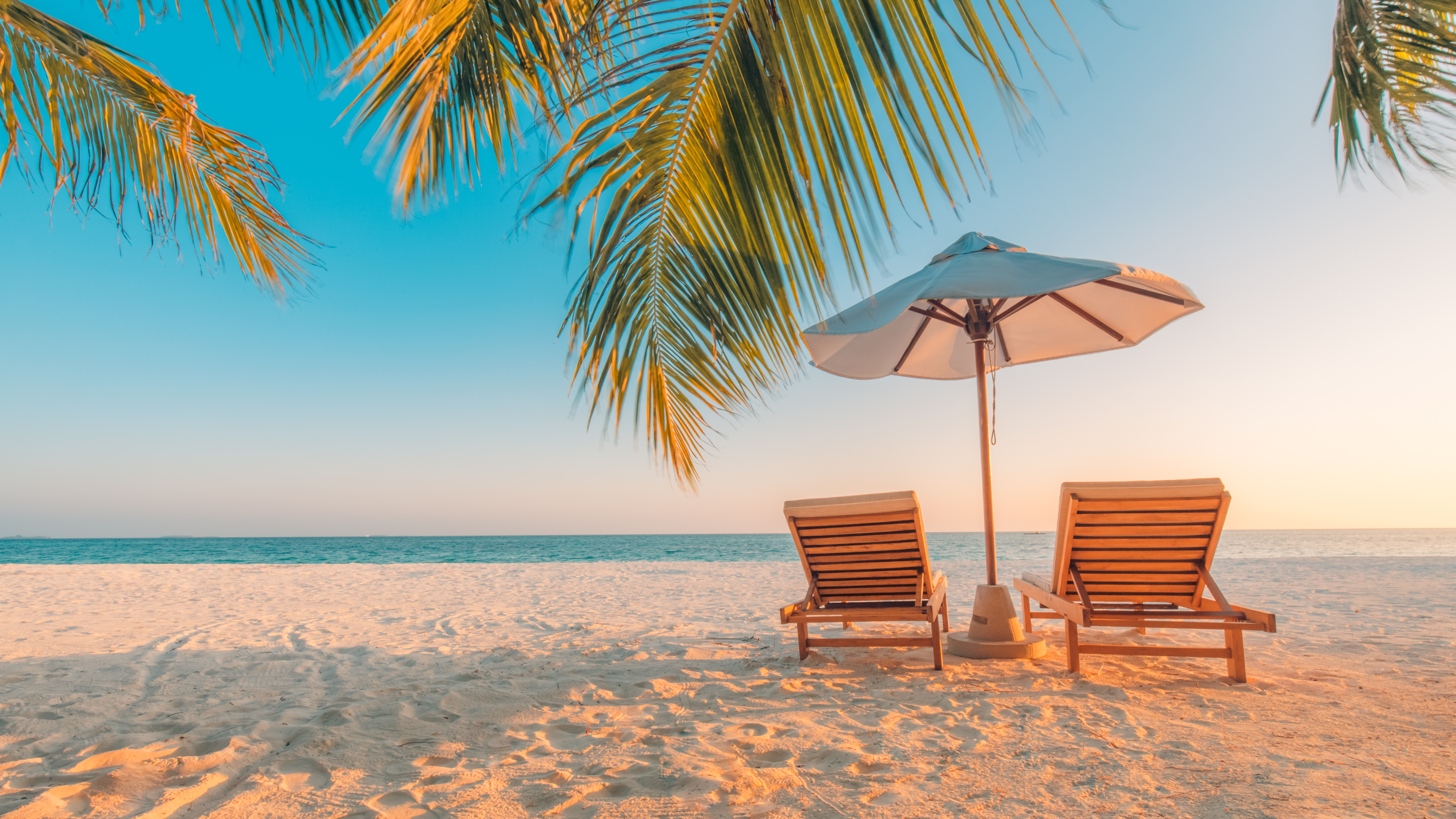 Thailand tropisk strand med palmer, liggestole og parasol
