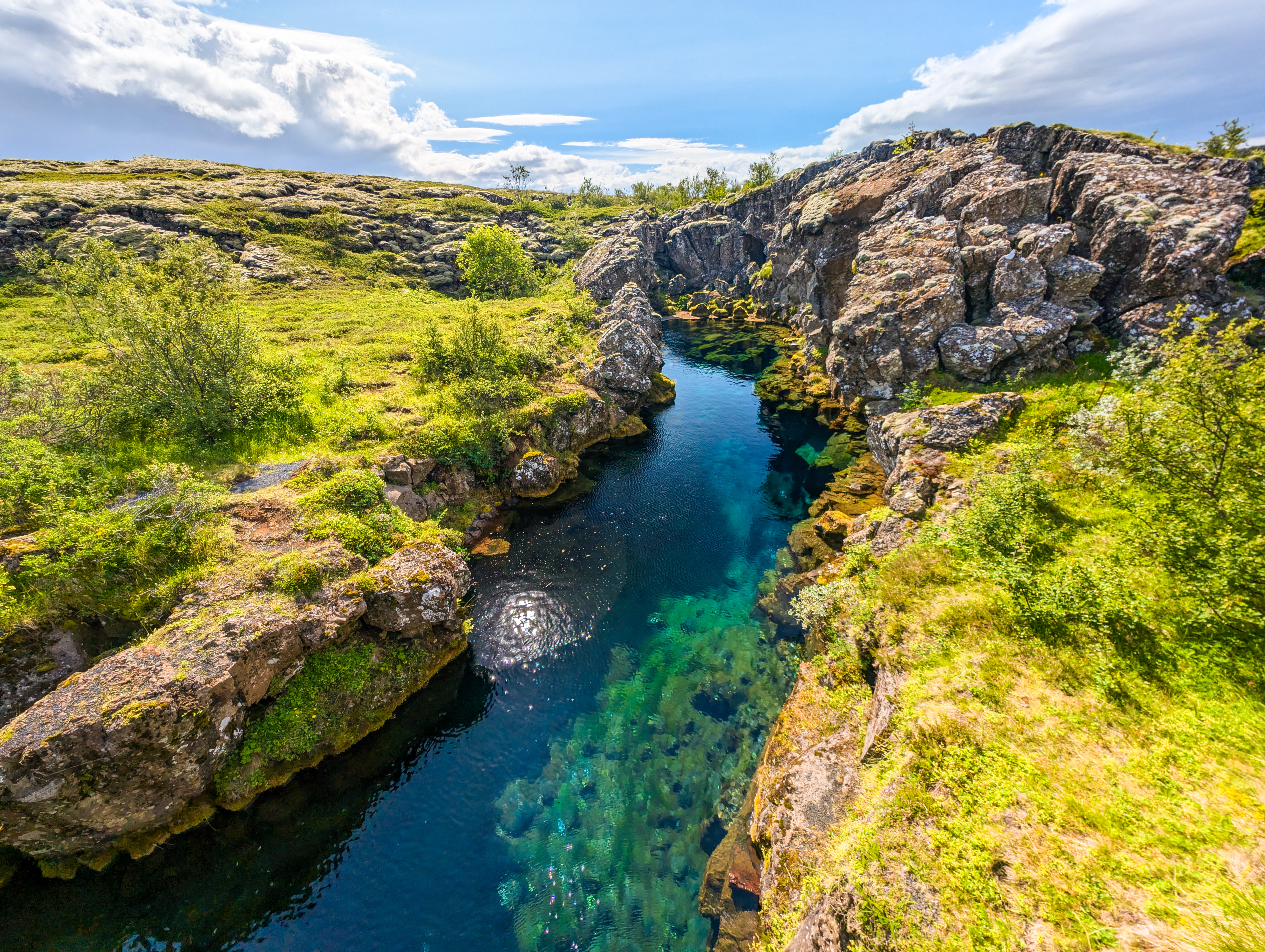 Turkisblåt krystalklart vand strømmer gennem den smukke Silfra-kløft i Thingvellir Nationalpark på Island, omgivet af dramatiske klippeformationer og grøn sommernatur