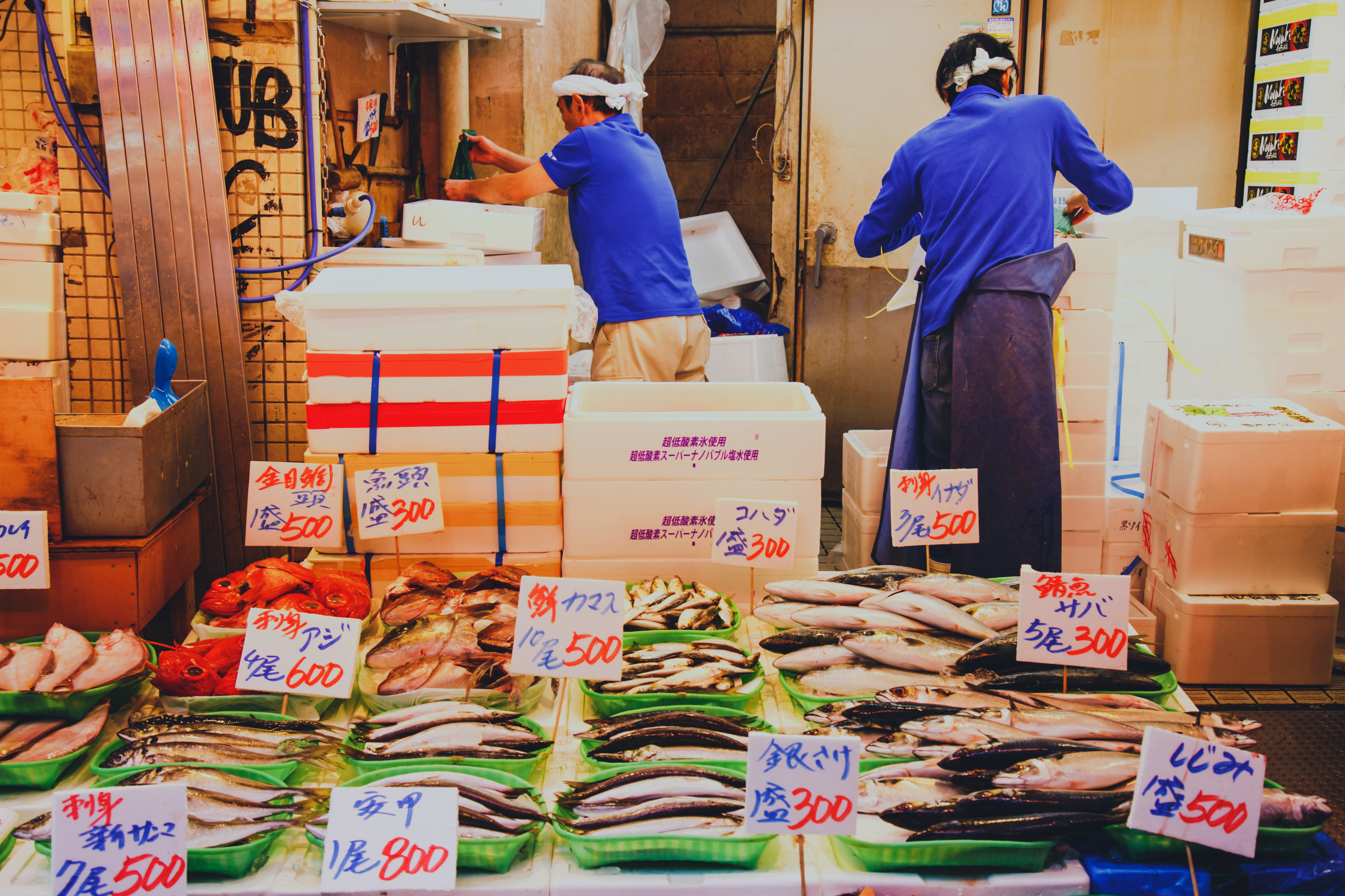 To arbejdere i blå tøj organiserer frisk fisk og seafood på travlt japansk fiskemarked med mange forskellige arter