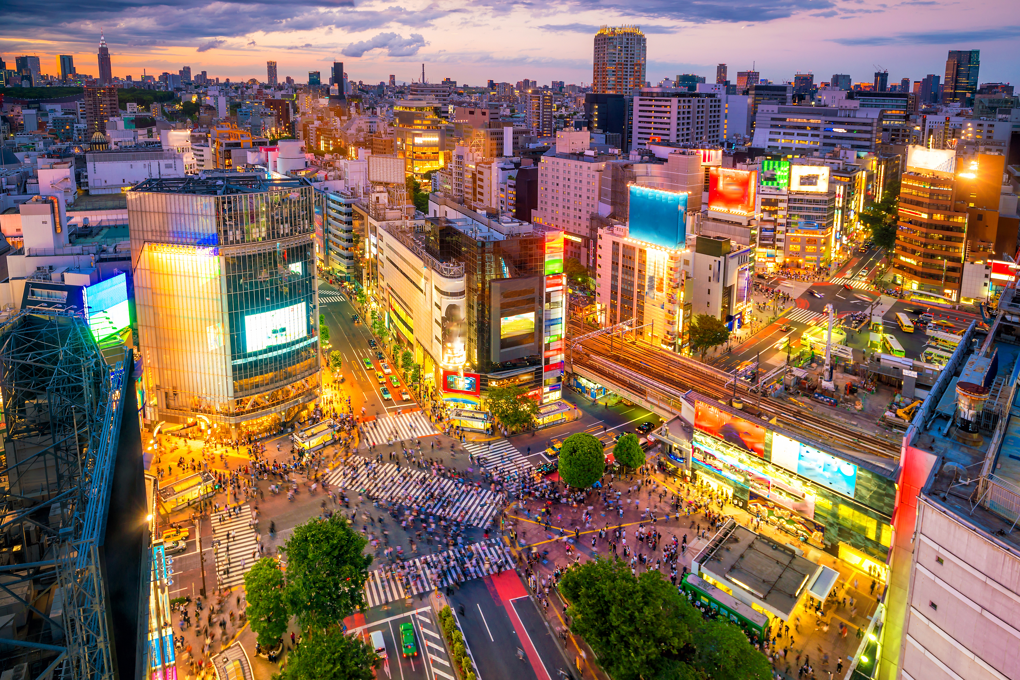 Shibuya Crossing i Tokyo fotograferet oppefra i skumringen med tusindvis af fodgængere og farverige lysreklamer i Japans største by
