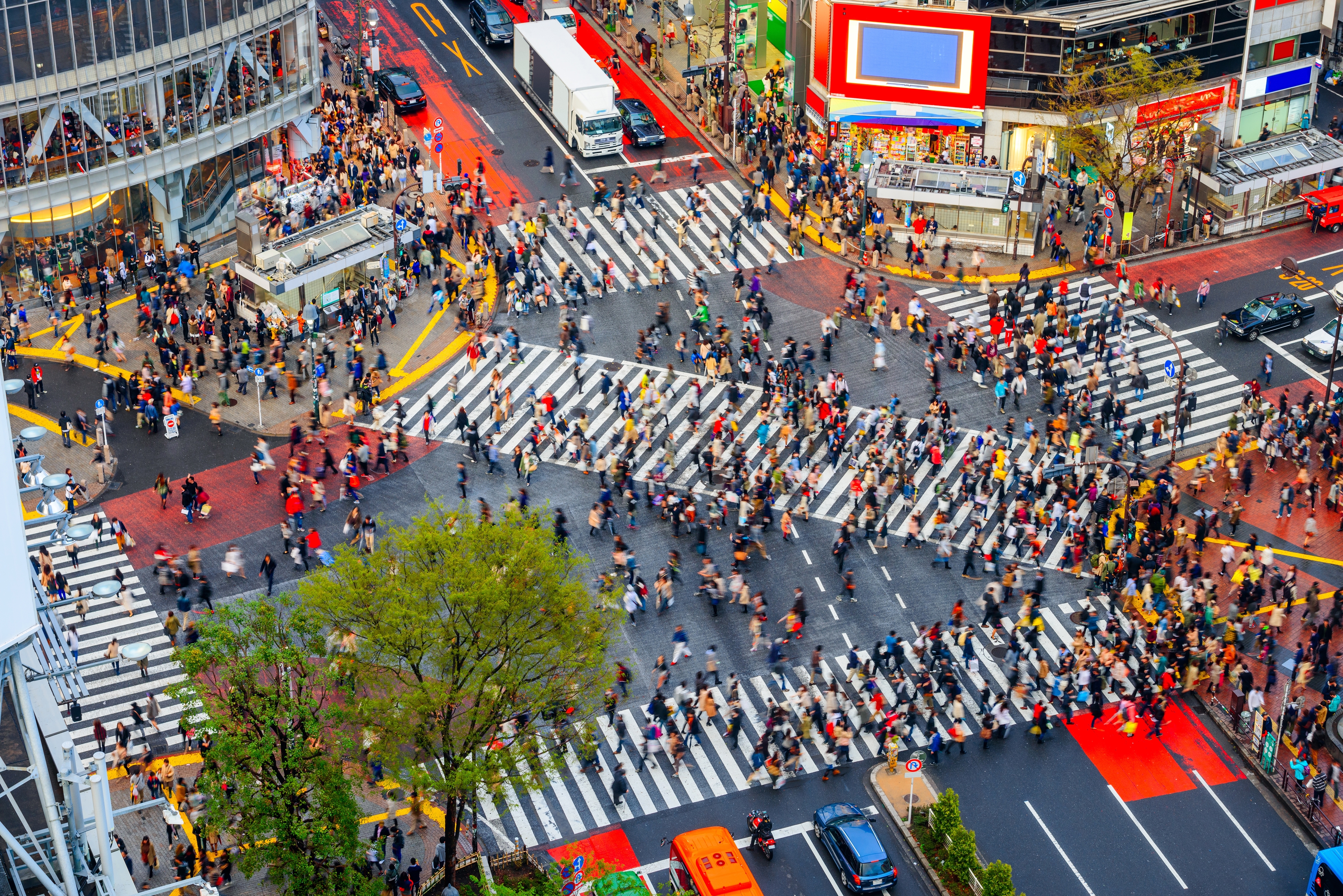 Det verdensberømte Shibuya crossing i Tokyo med fodgængere der krydser det travle vejkryds i aftenlys