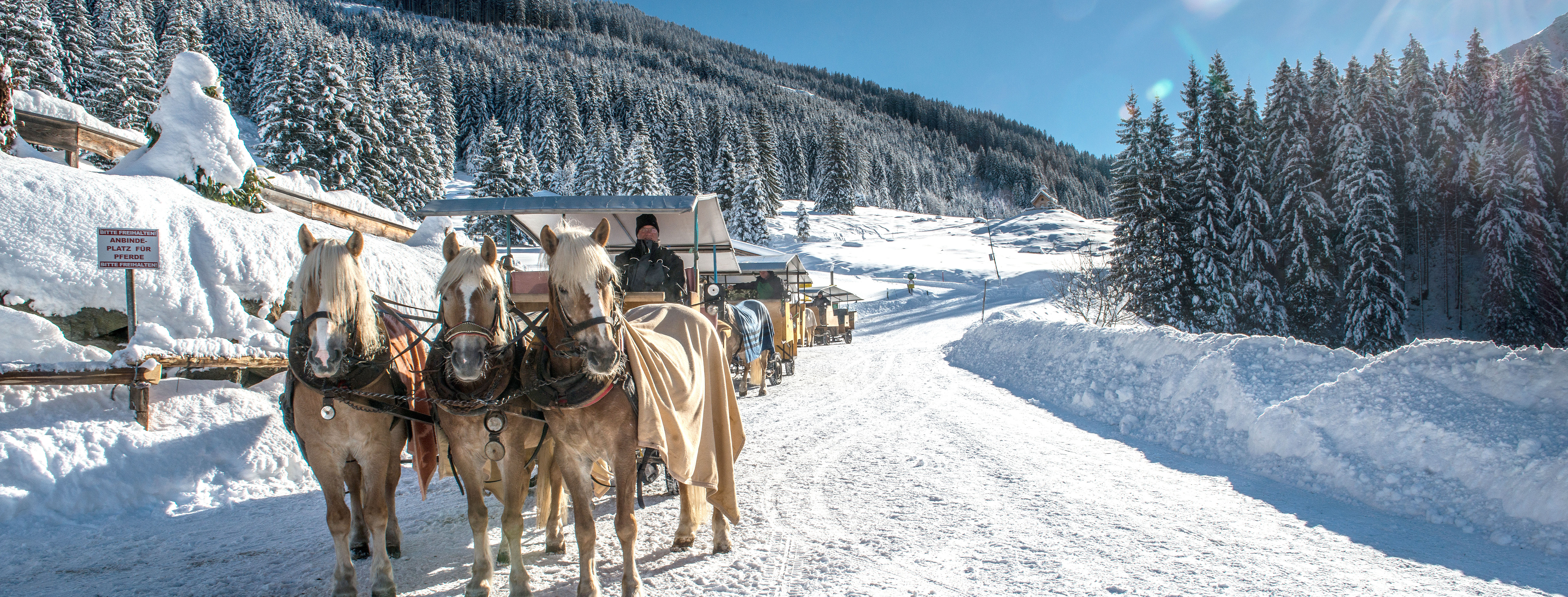 topbillede_westendorf_gislev