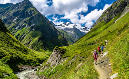 Trekking gruppe vandrer gennem frodig grønt bjergdal med snevædte alpine tinder og klar bjergbæk