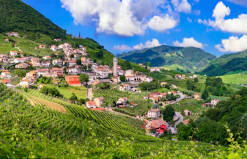Grønne vinmarker og bølgende bakker i Treviso-regionen langs Prosecco-vinruten i Veneto, Norditalien