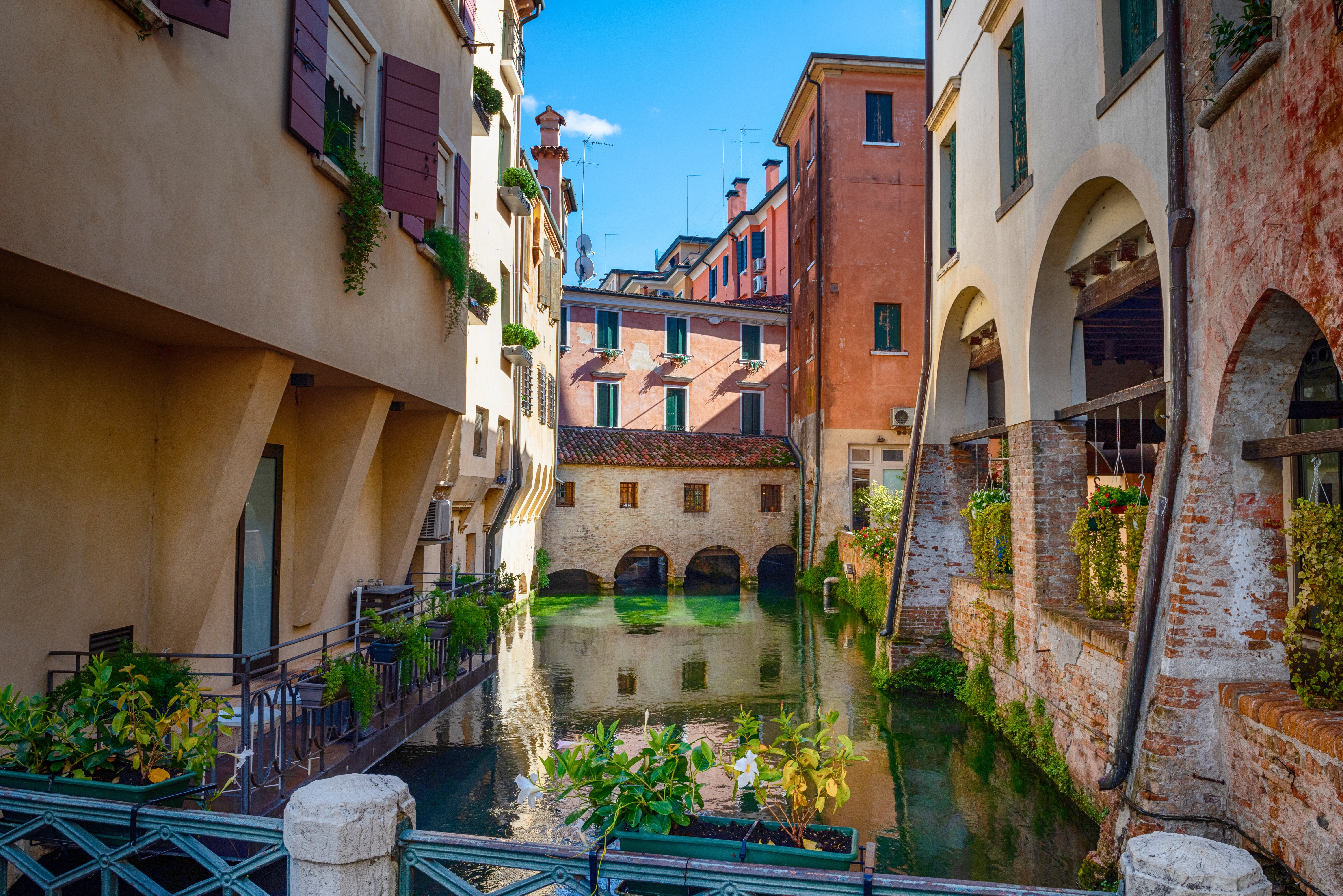 Charmerende kanal i Treviso, Veneto, omgivet af historiske italienske bygninger med farverige facader og frodig vegetation på en solskinsdag