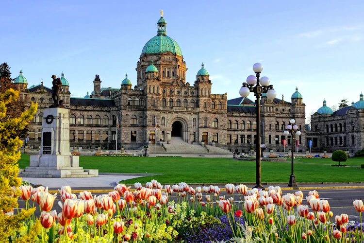 Farverige forårstulipaner foran den historiske parlamentsbygning i Victoria, British Columbia, et af Canadas mest fotograferede landemærker med sin flotte regeringsarkitektur og kulturelle betydning