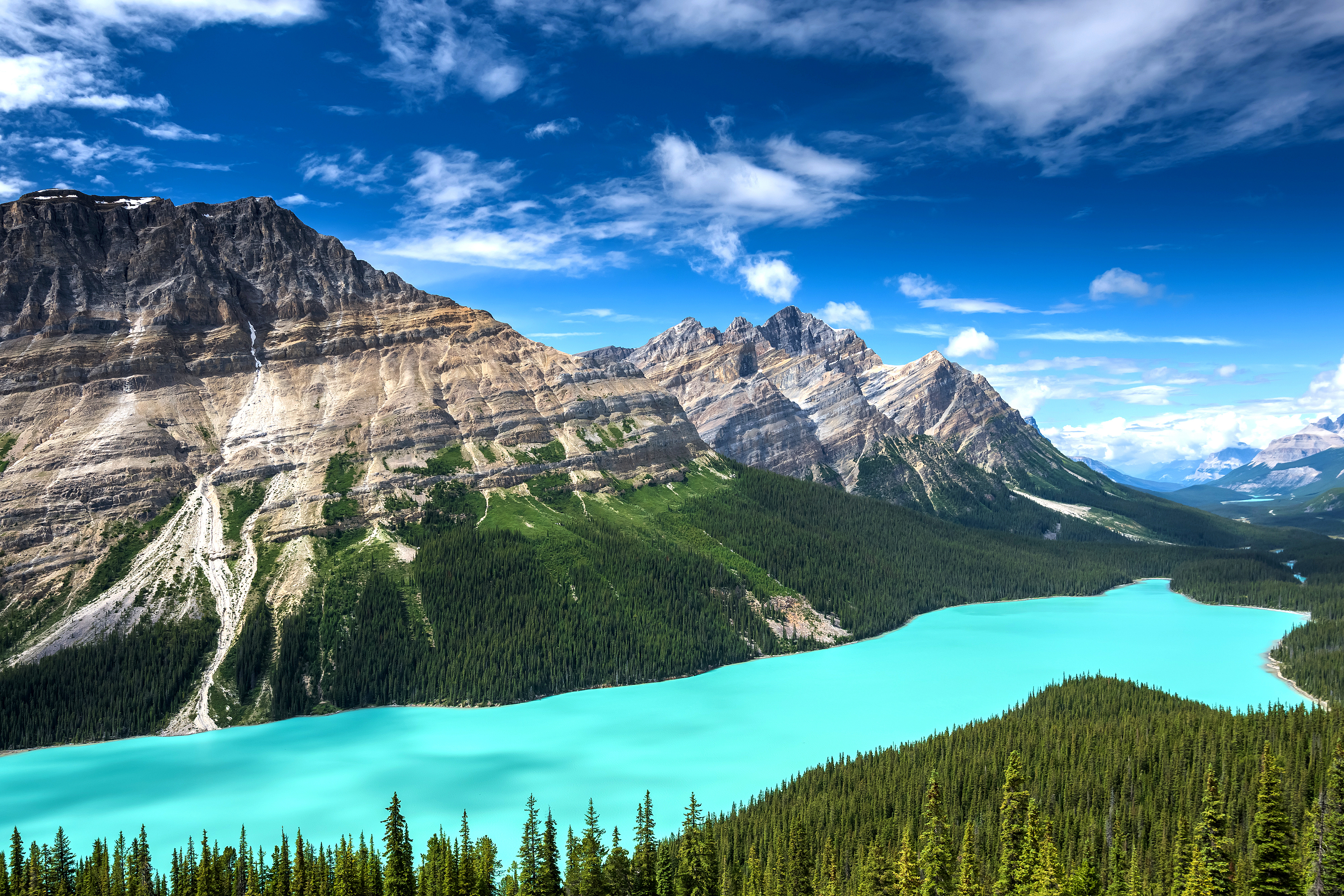 Breathtaking alpesø med tyrkisblåt vand omkranset af høje bjerge og tæt nåletræsskov i de canadiske Rocky Mountains