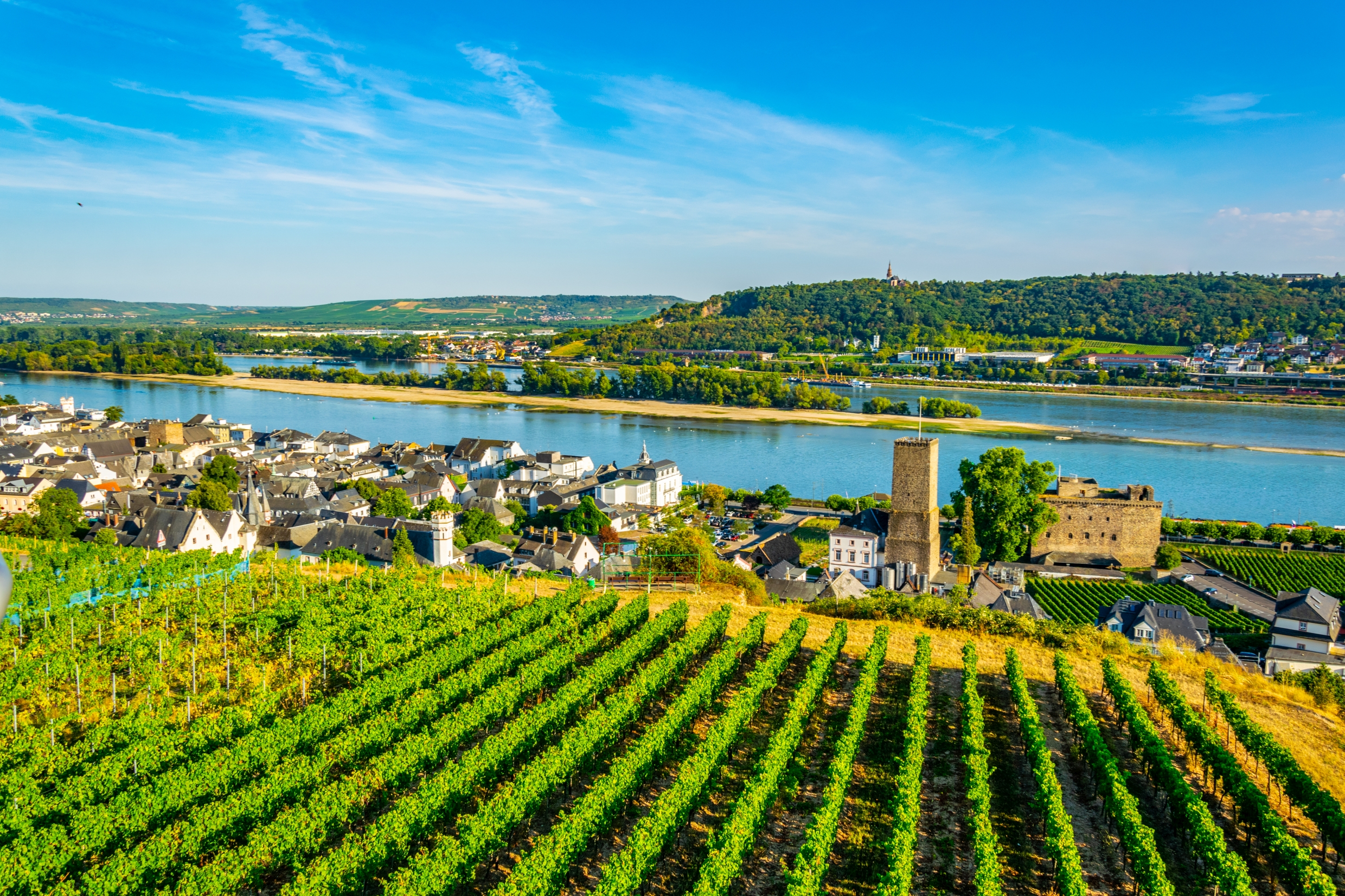 Tysk vinregion i Rhindalen med flodpanorama og vinmarker