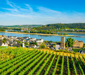 Tysk vinregion i Rhindalen med flodpanorama og vinmarker