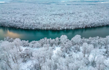 Luftbillede af Rhinen i Tyskland om vinteren med frostklædte træer langs floden