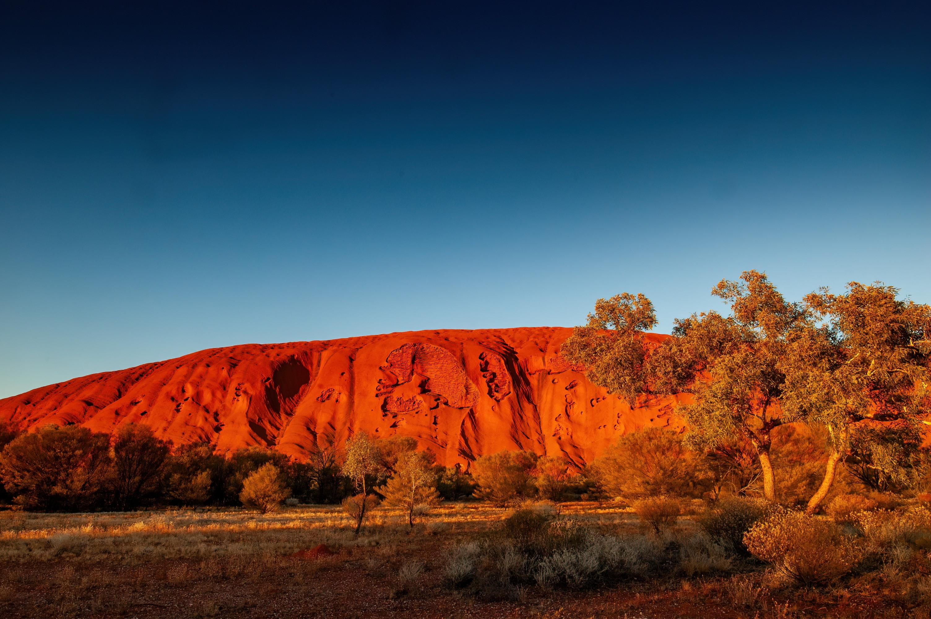 Uluru nationalpark i Australien med ikonisk roed monolitklippe i oekenen