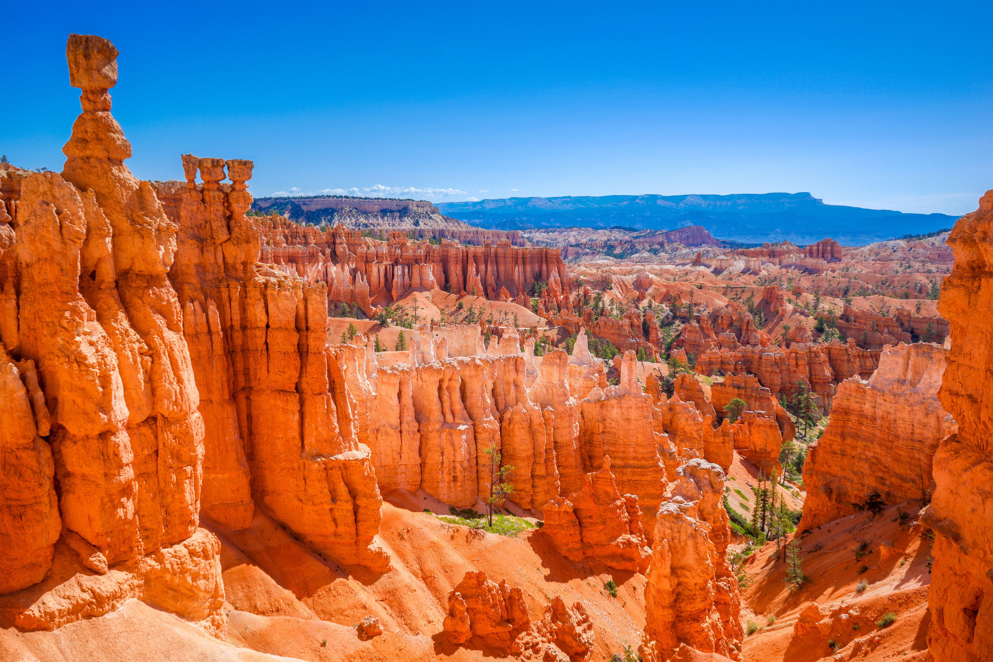 Majestætisk landskab med de berømte orange og røde hoodoos og eroderede sandstensformationer i den naturskønne Bryce Canyon National Park i Utah, USA