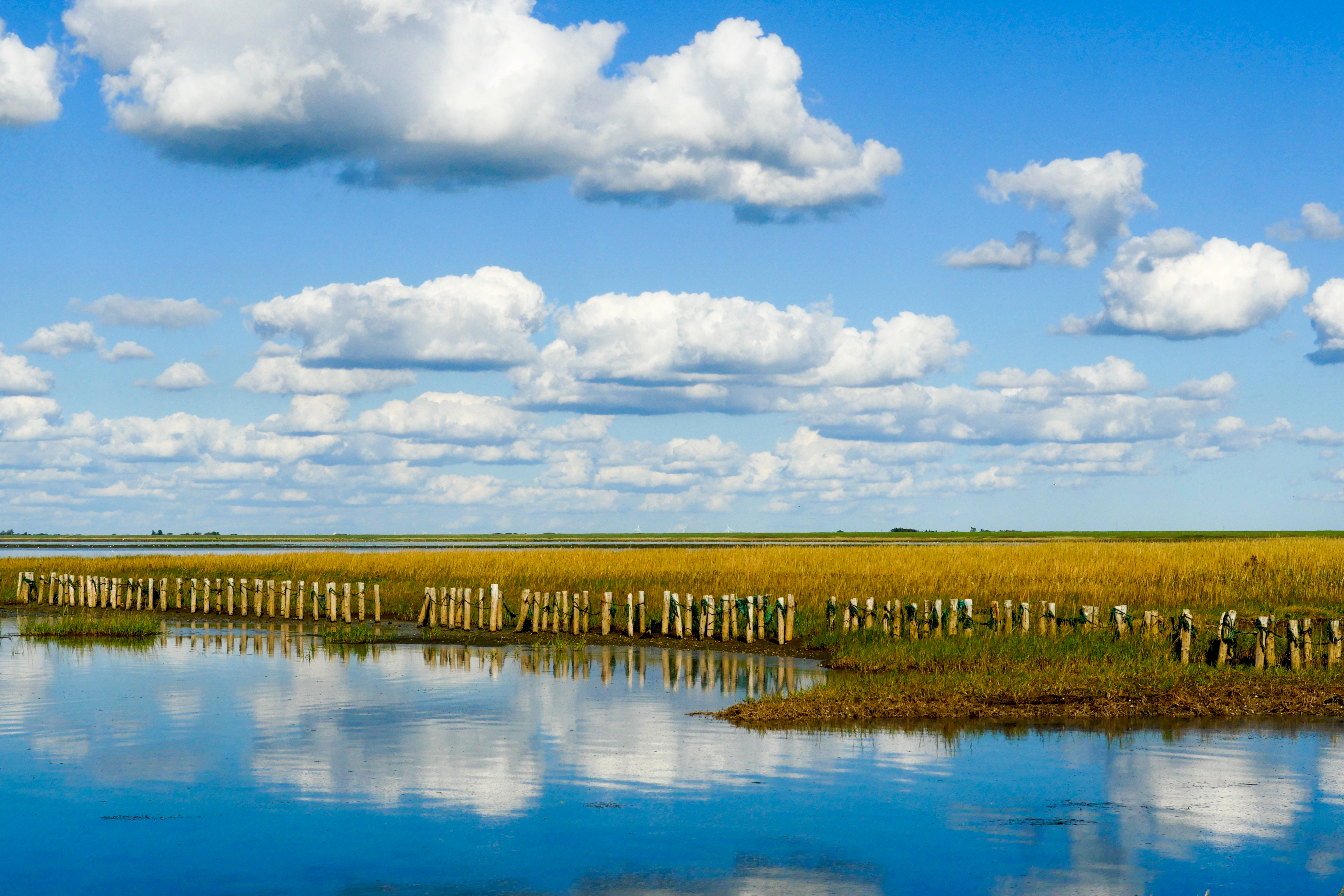 Fredelige vadområder ved Mandø med gamle træpæle og perfekte skyreflektioner