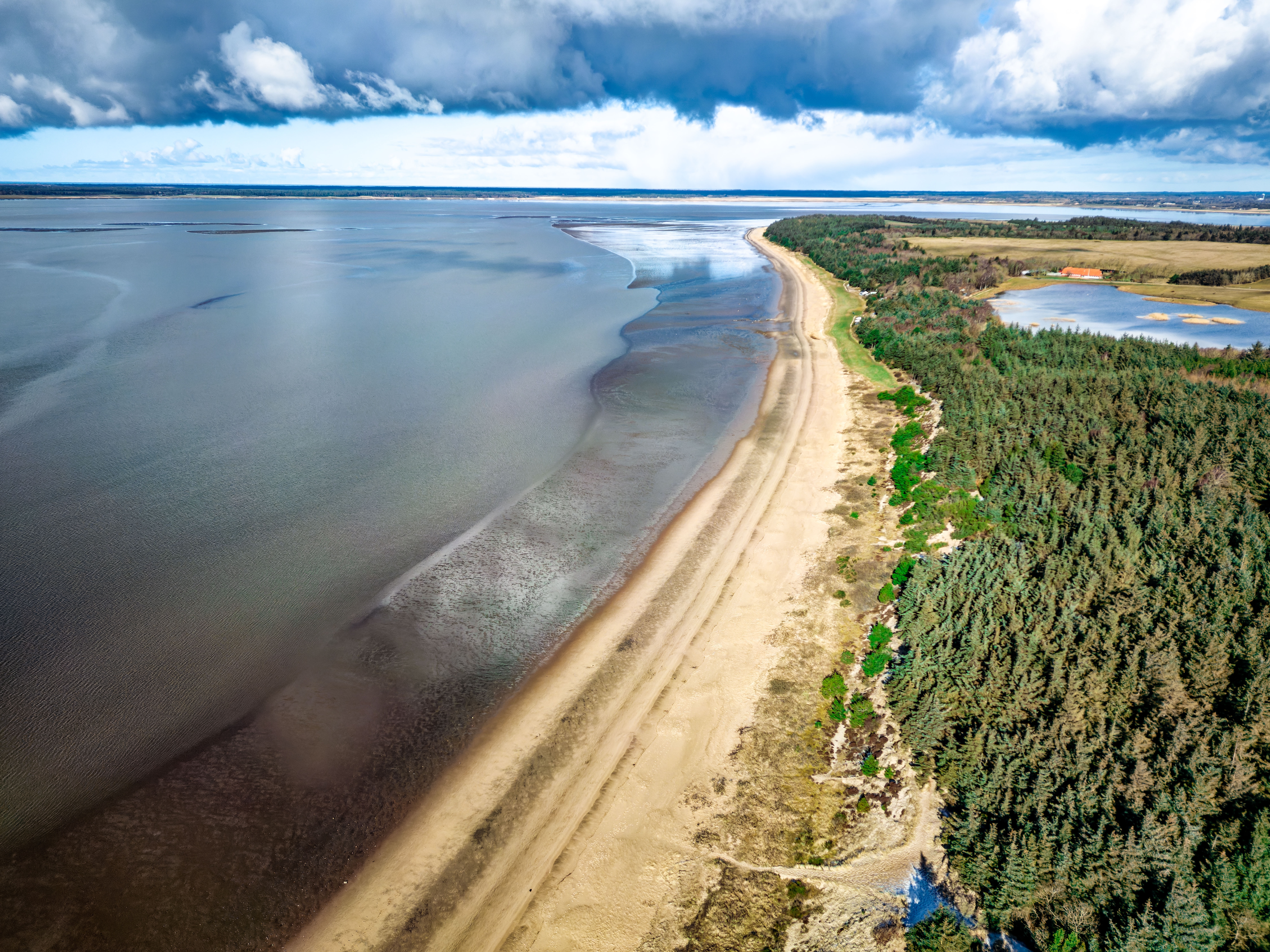Fantastisk luftudsigt over Vadehavet ved Ho Bugt og Marbæk strand tæt på Esbjerg, med gylden sandstrand og tæt skovbælte langs kysten
