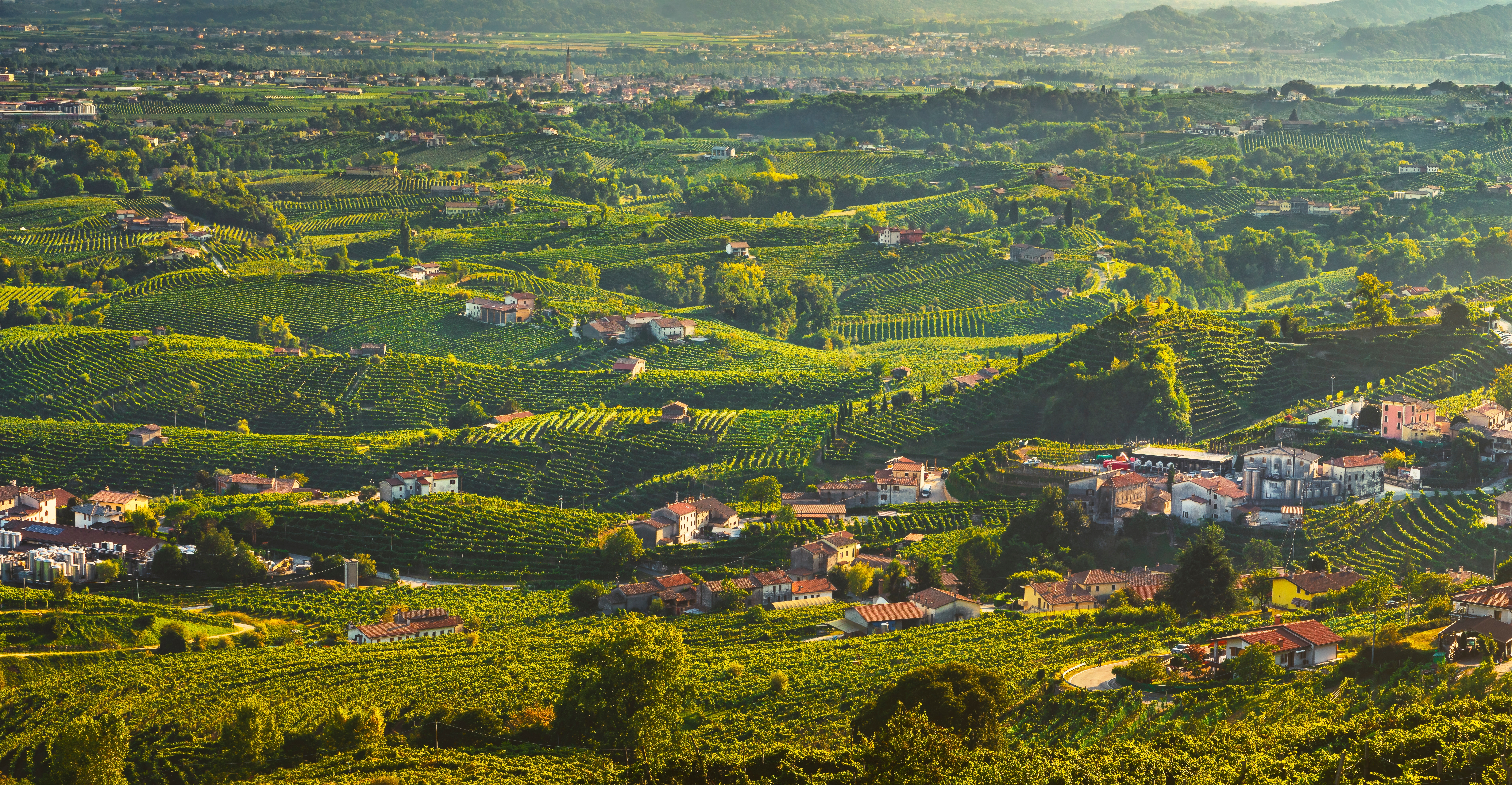 Storslået udsigt over de grønne vinmarker og landsbyer i Prosecco-regionens bakker ved Valdobbiadene i Italien