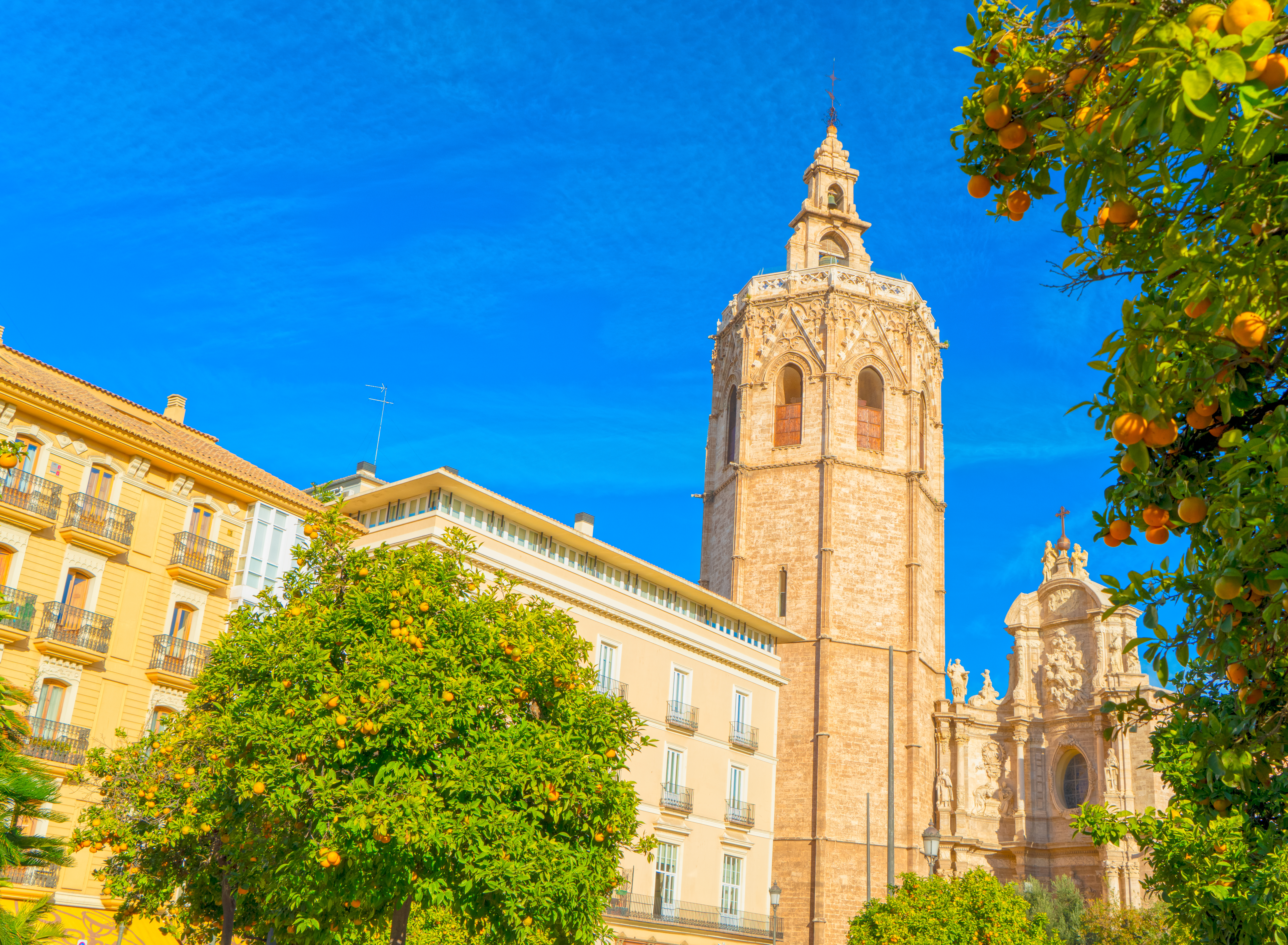 Udsigt til Valencias berømte Miguelete-klokkettårn og katedralen ved Plaza de la Reina med modne appelsinttræer, Spanien