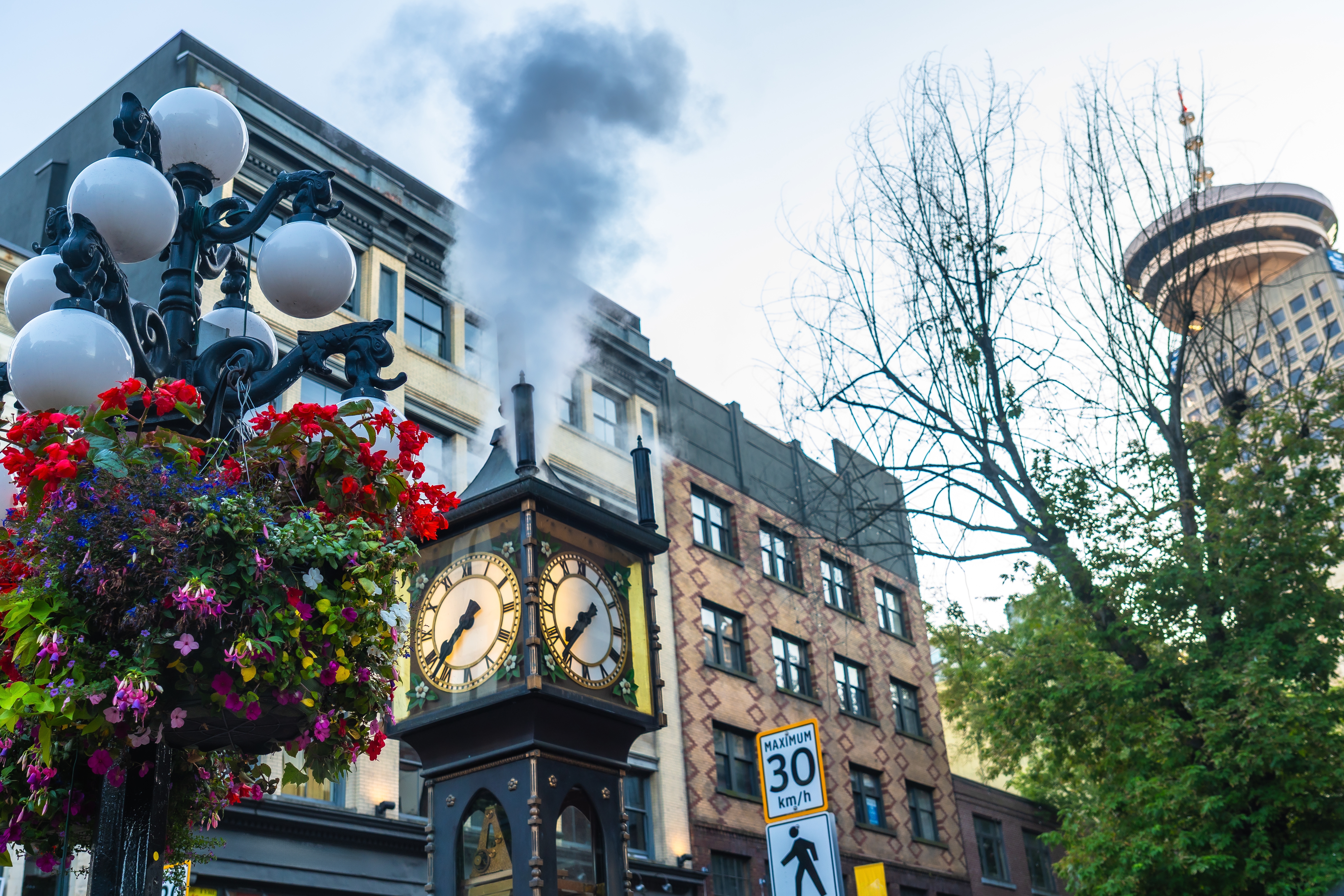 Den verdensberømte dampklokke i Gastown Vancouver omgivet af farverige røde blomster med dampskyer stigende op mod himlen og Harbour Centre i baggrunden