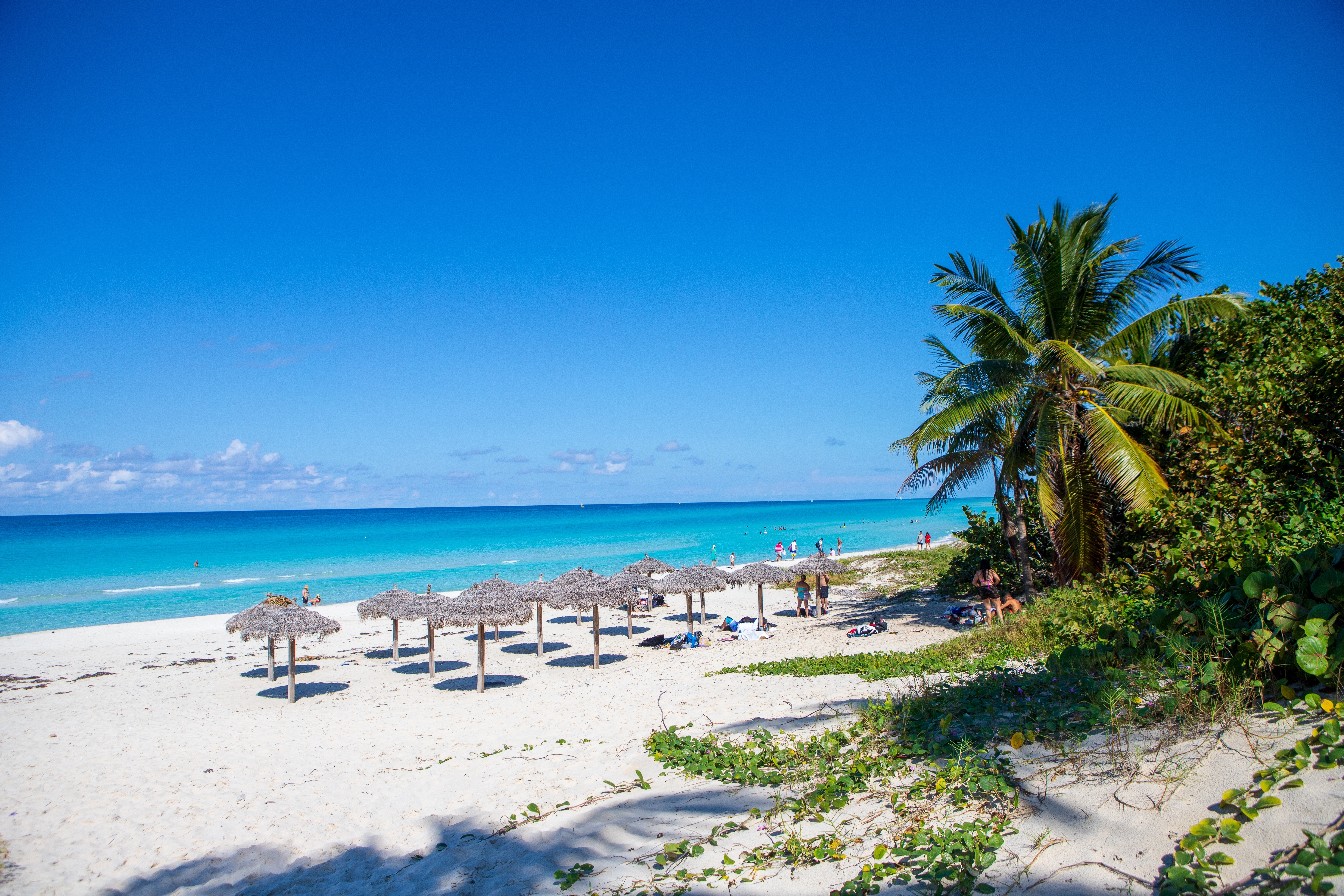 Varadero strand på Cuba med hvidt sand og palmer under blå himmel