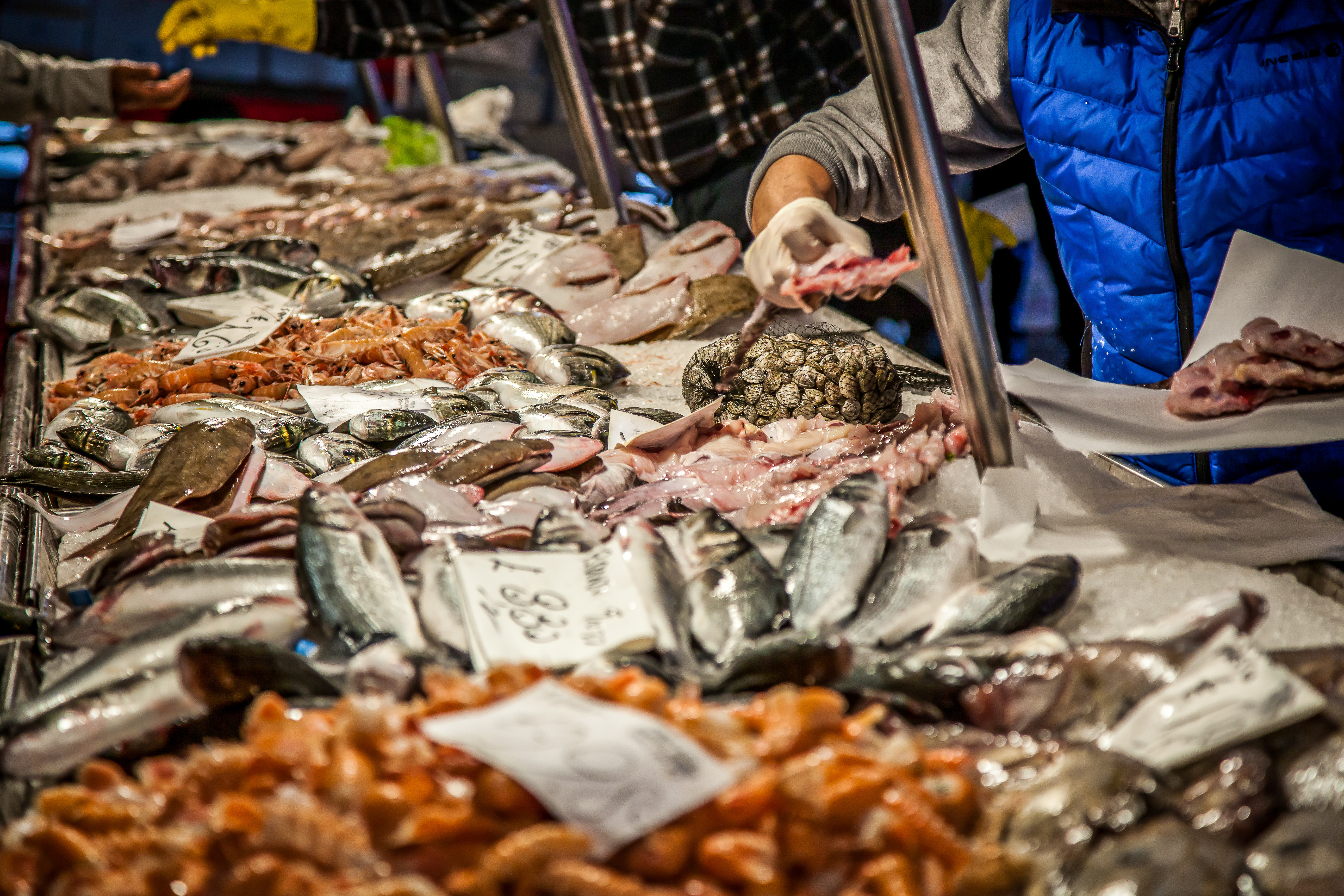Lokalt fiskemarked i Venedig med friske daglige fangster og handlende