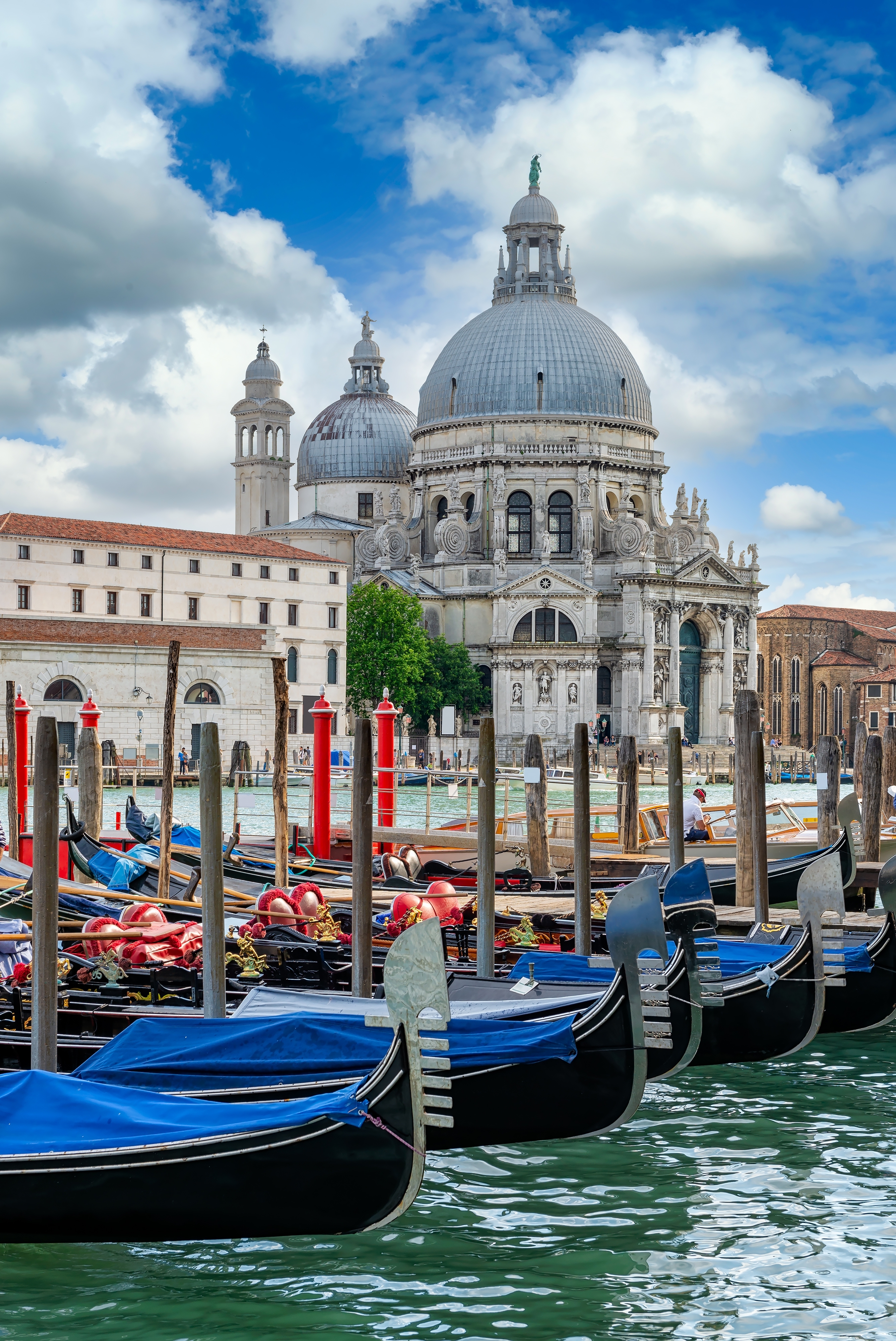 Venetianske gondoler med blå presenninger langs Grand Canal med udsigt til den berømte Santa Maria della Salute-kirke i Venedig